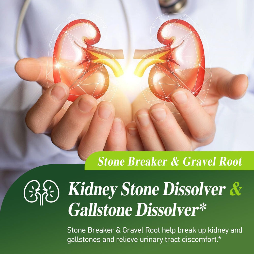 Close-up of dropper dispensing herbal tincture