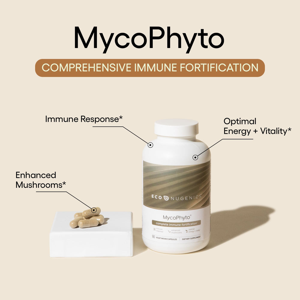 Six mushroom varieties used in MycoPhyto (Turkey Tail, Reishi, Cordyceps, Maitake, and more)