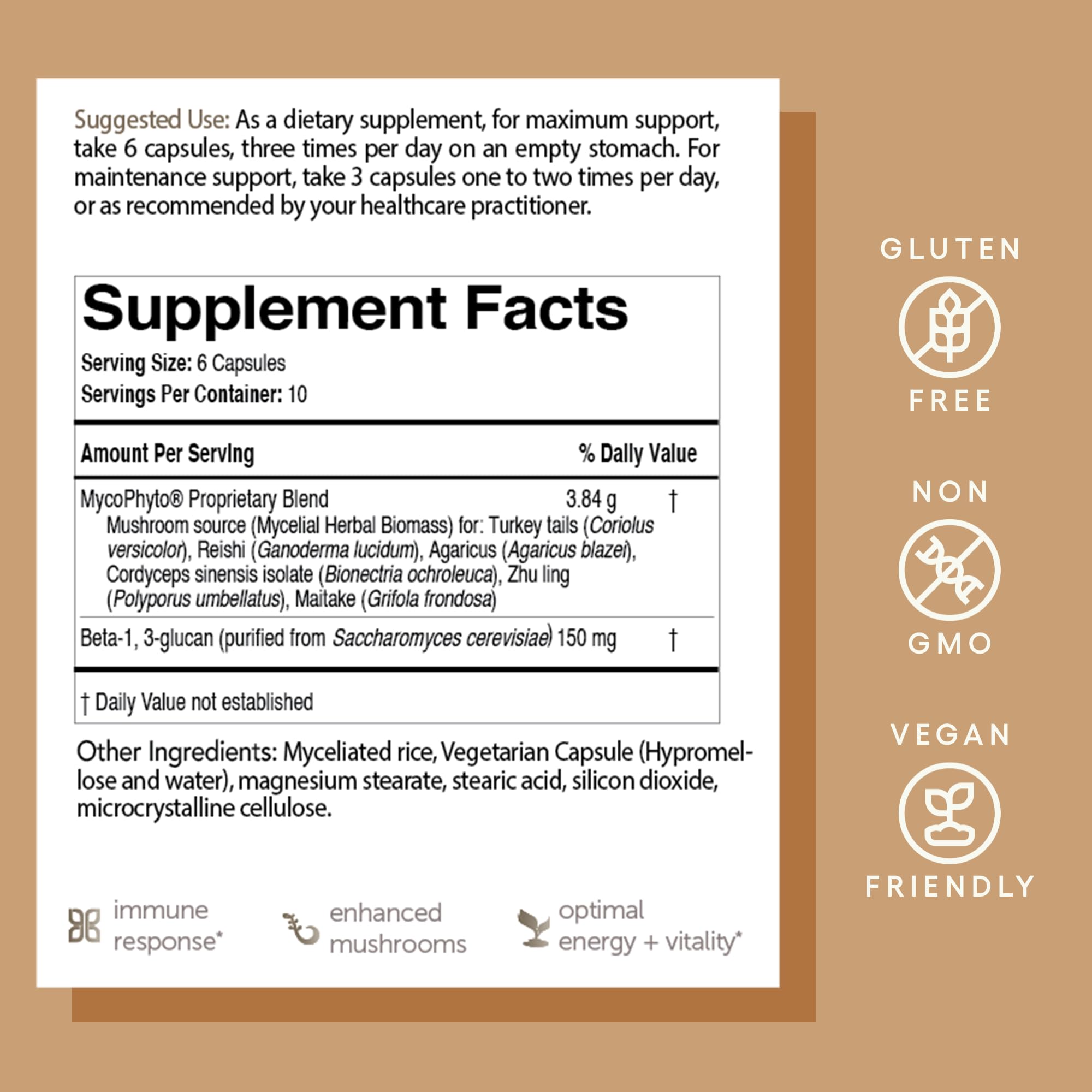 MycoPhyto supports energy, gut health and vitality