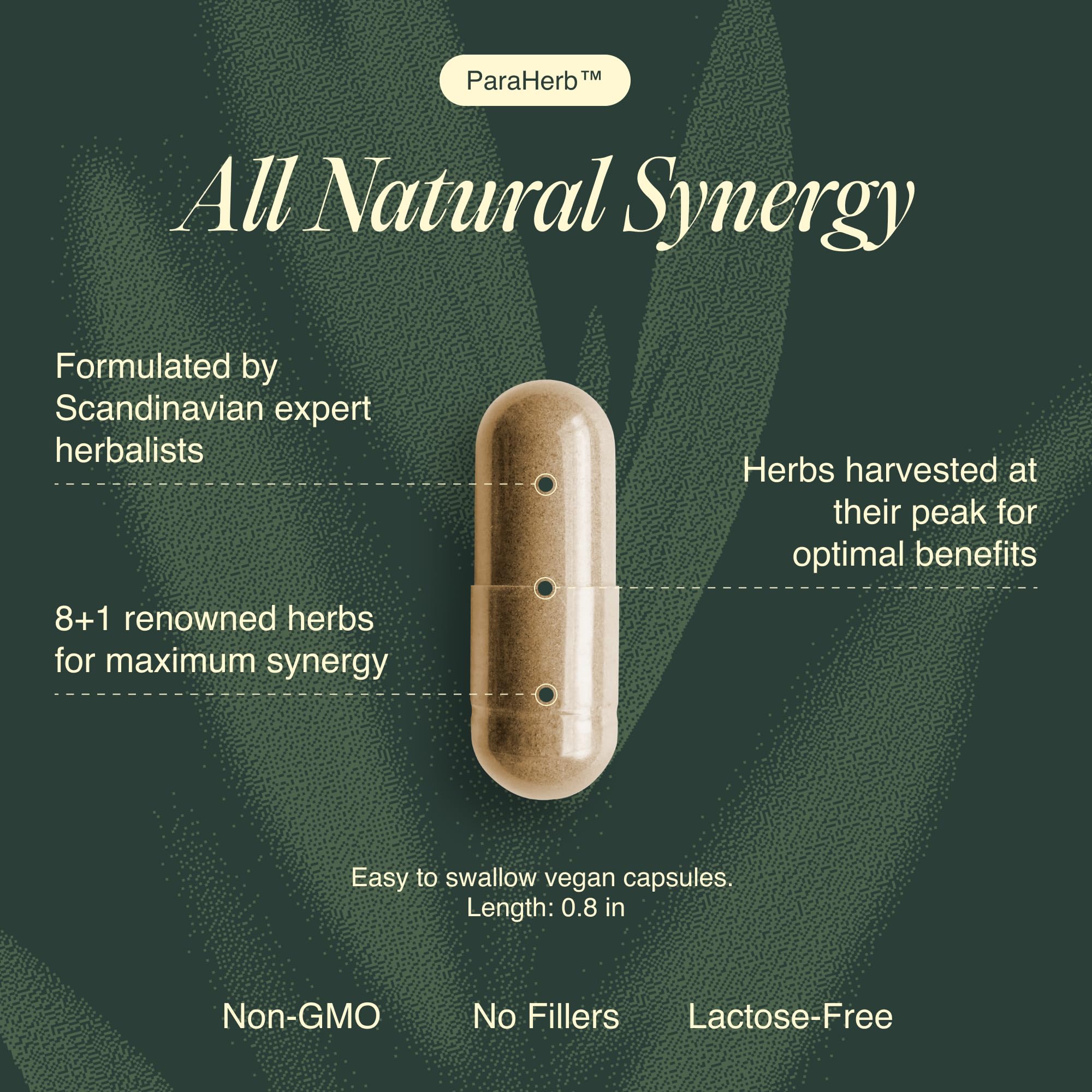 Close-up of Ecosh ParaHerb capsules showing easy-to-swallow design.