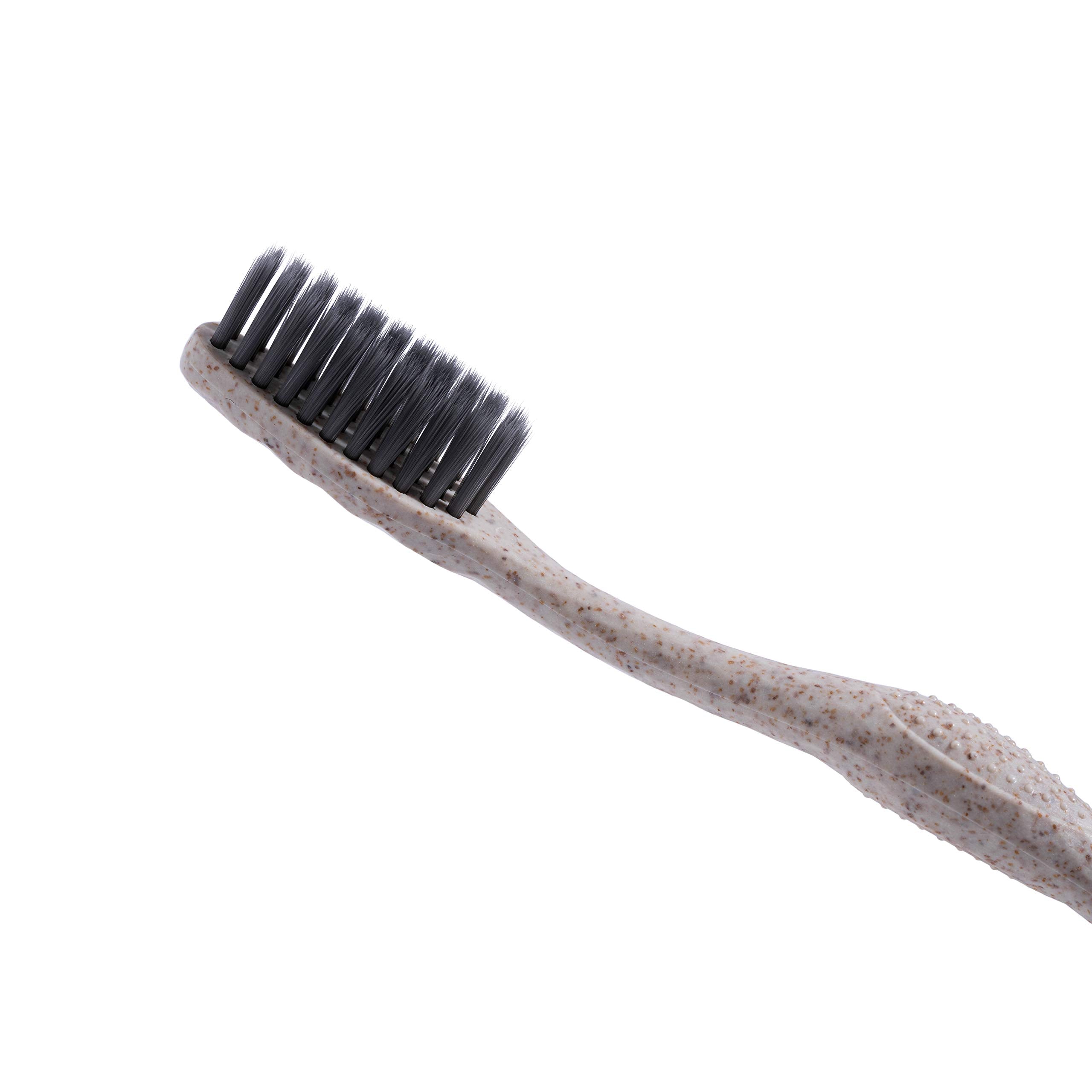 Toothbrush suitable for home, gym, hotel, spa, or Airbnb