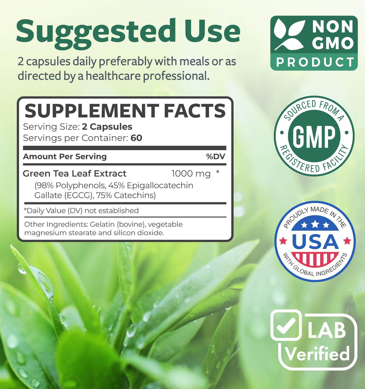 Lifestyle image showing daily use of EGCG Green Tea Extract capsules