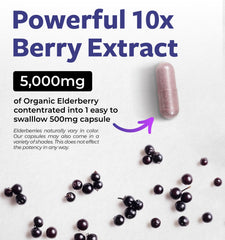 Close-up of Elderberry Capsules showing 10:1 extract