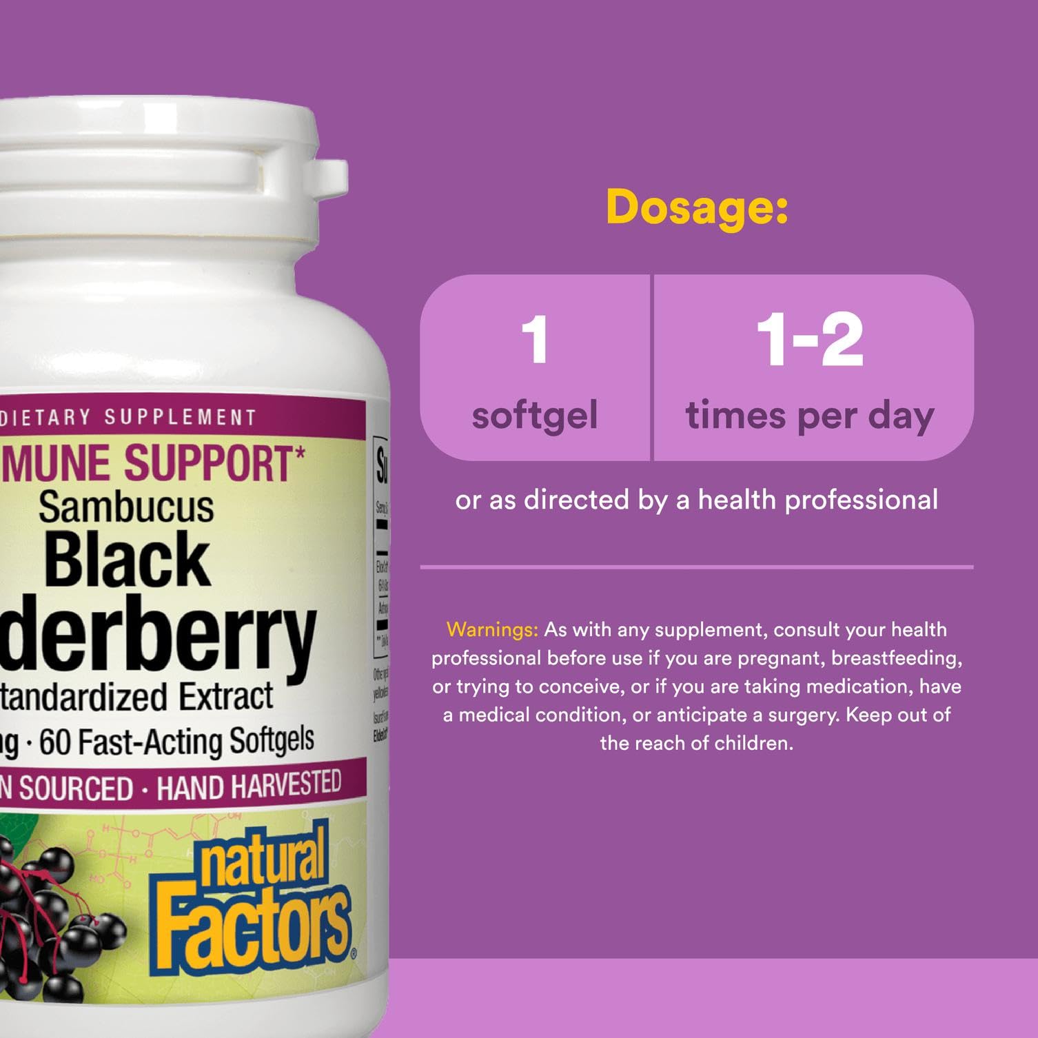 European-sourced ElderCraft black elderberry extract illustration