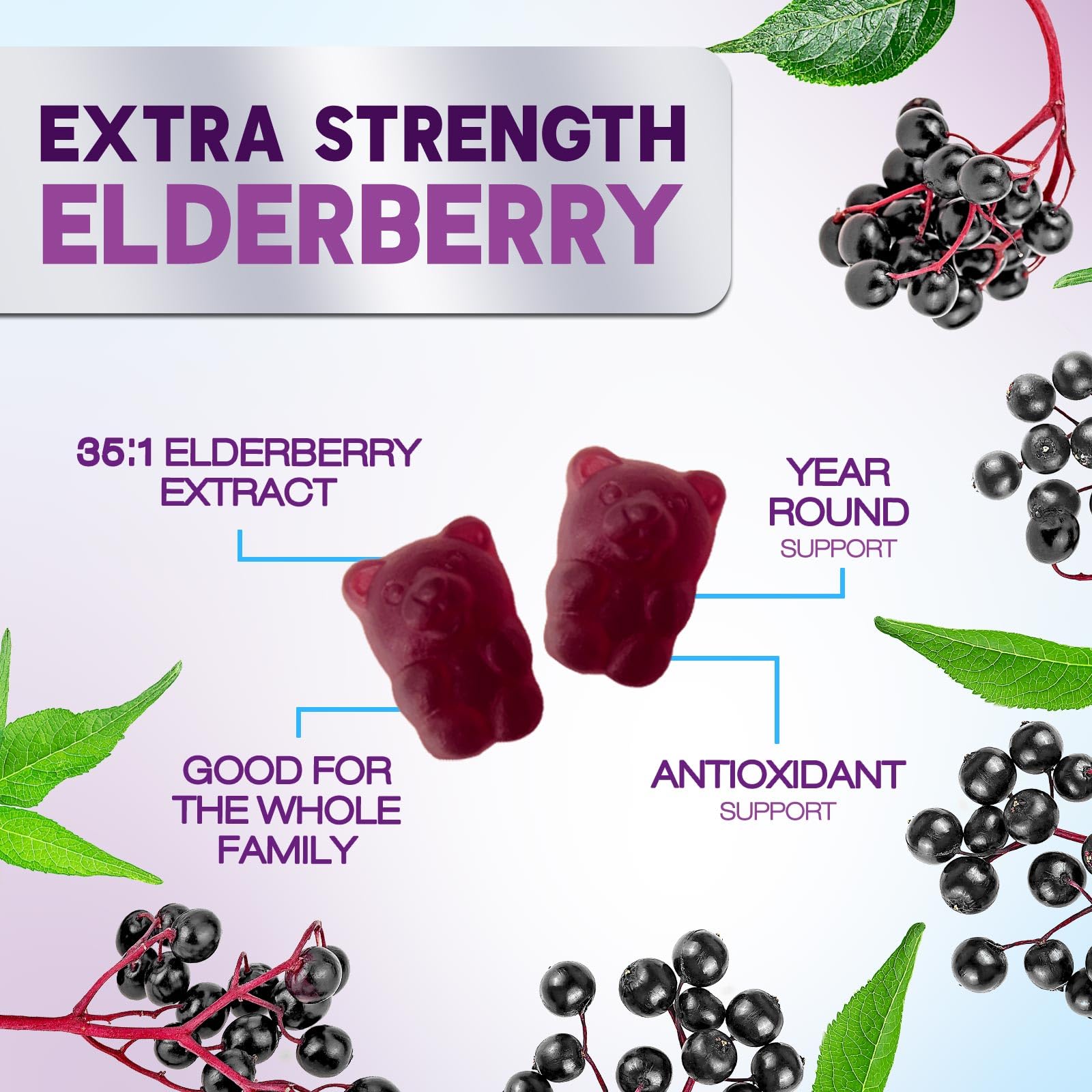 Close-up of berry-flavored Elderberry Immune Support Gummies