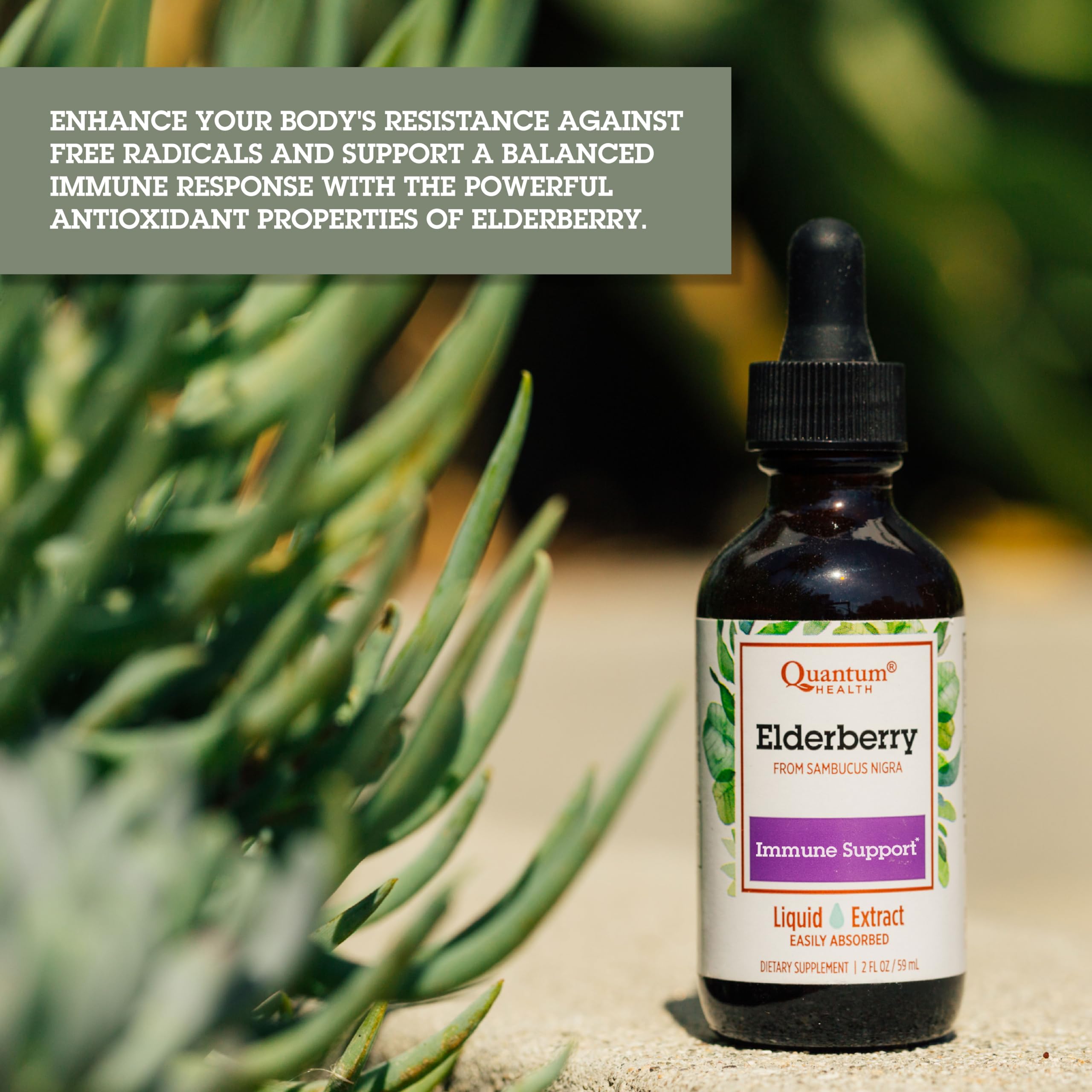 Vegan immune support product packaging and bottle