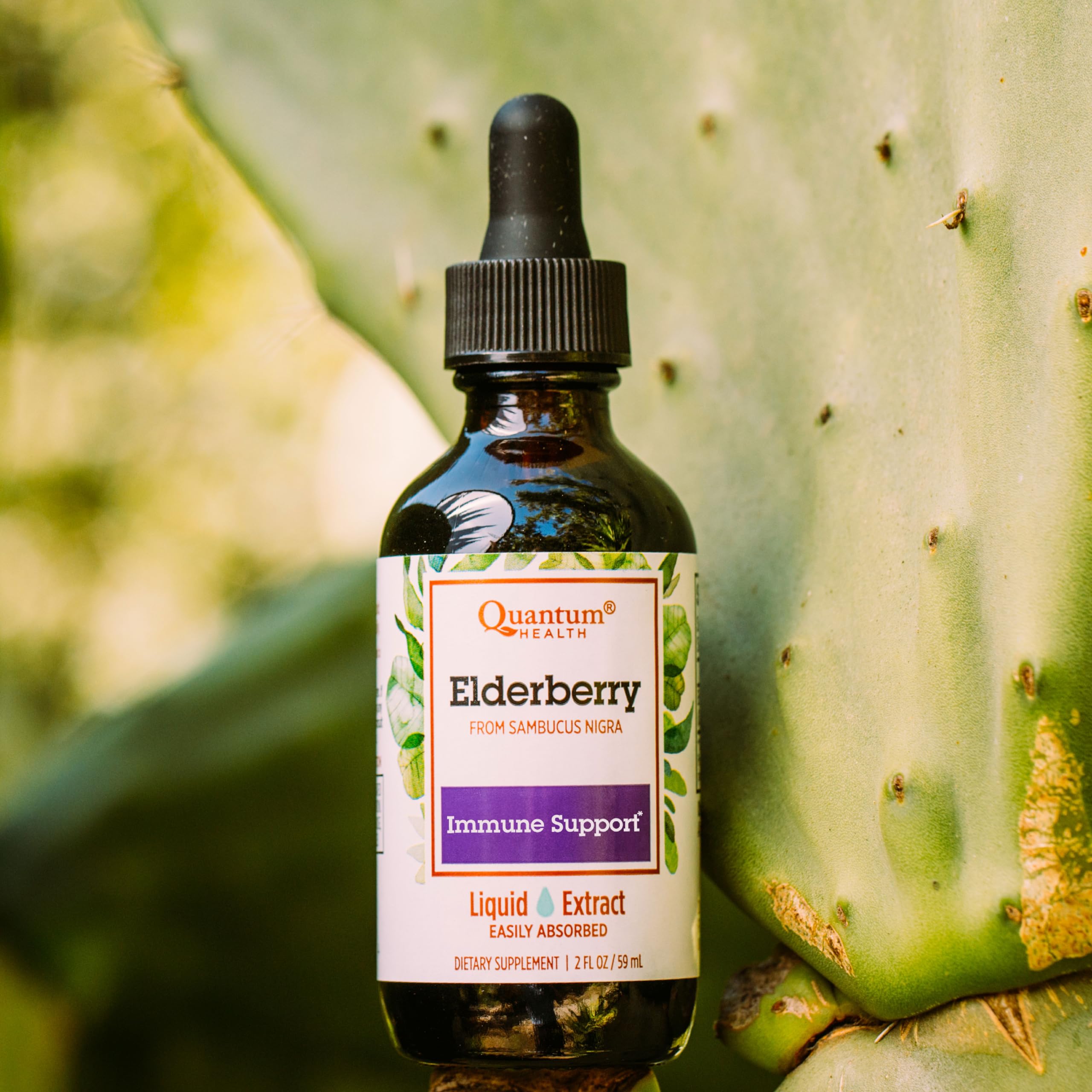 Quality ingredients and no artificial colors or flavors emblem