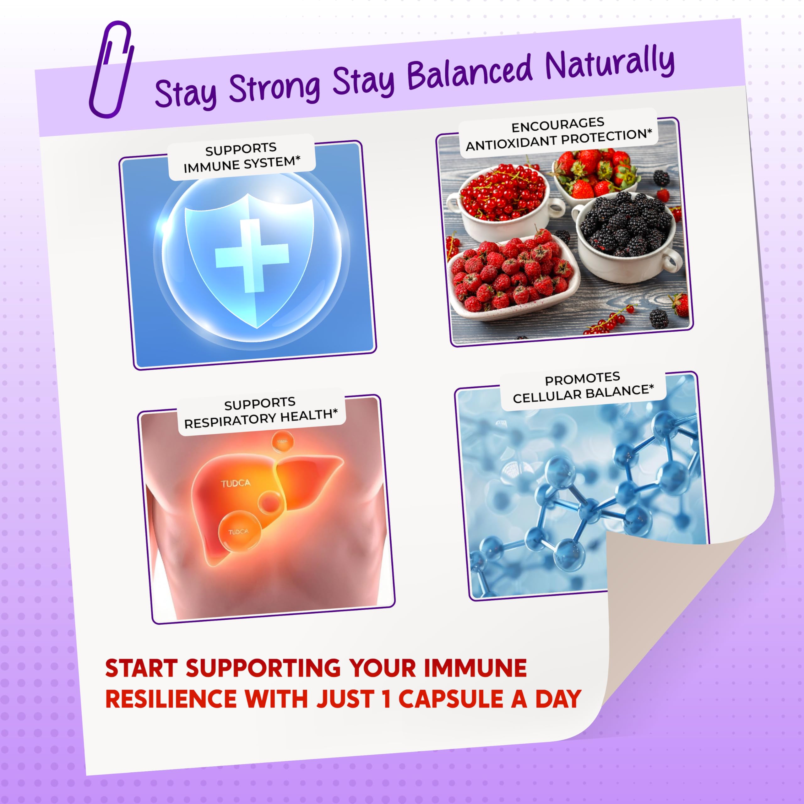 Bottled capsules of the Elderberry Quercetin Turmeric Zinc supplement