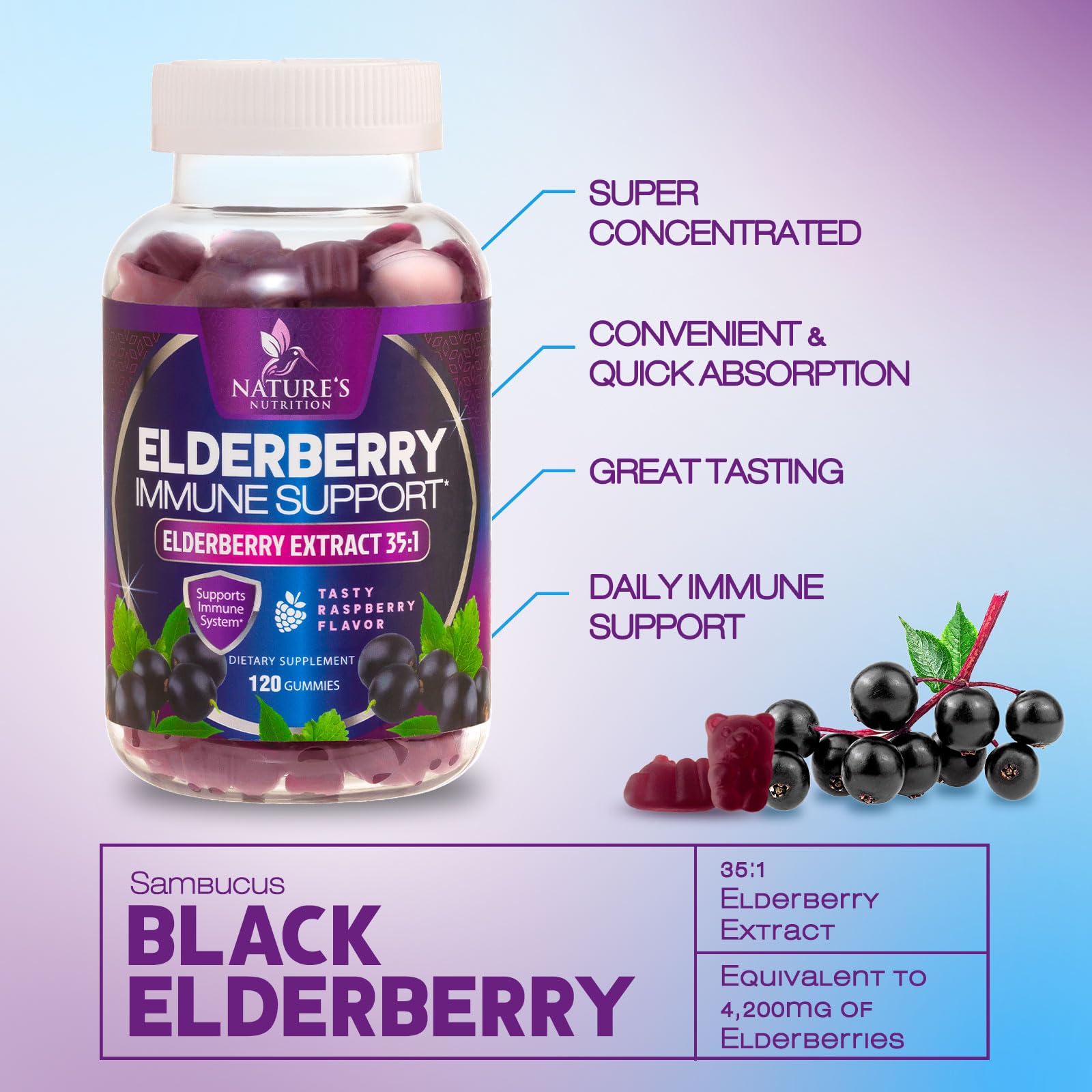 Vegan, gluten-free, dairy-free ingredient visuals for elderberry gummies