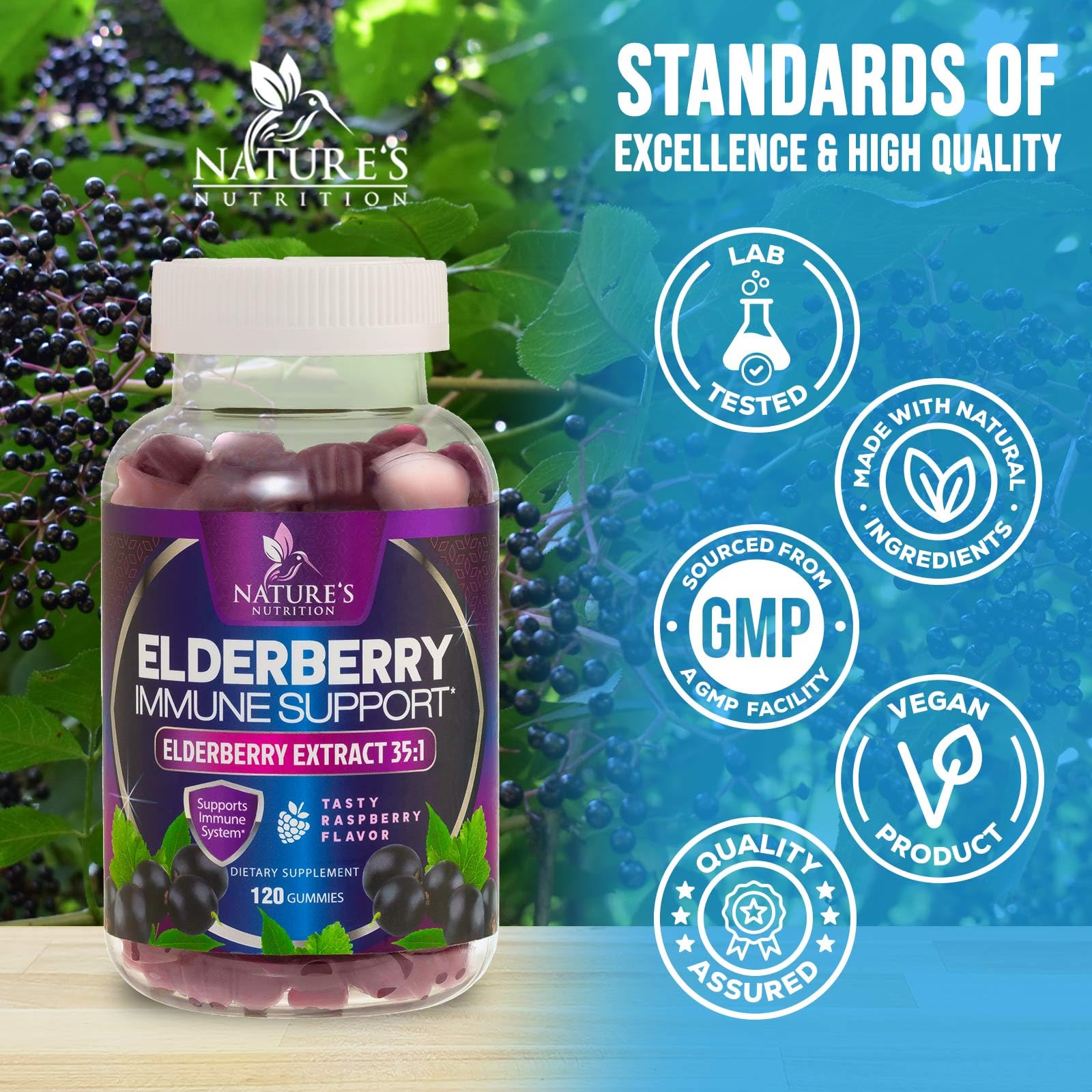 Graphic highlighting 4200 mg equivalent elderberry per serving