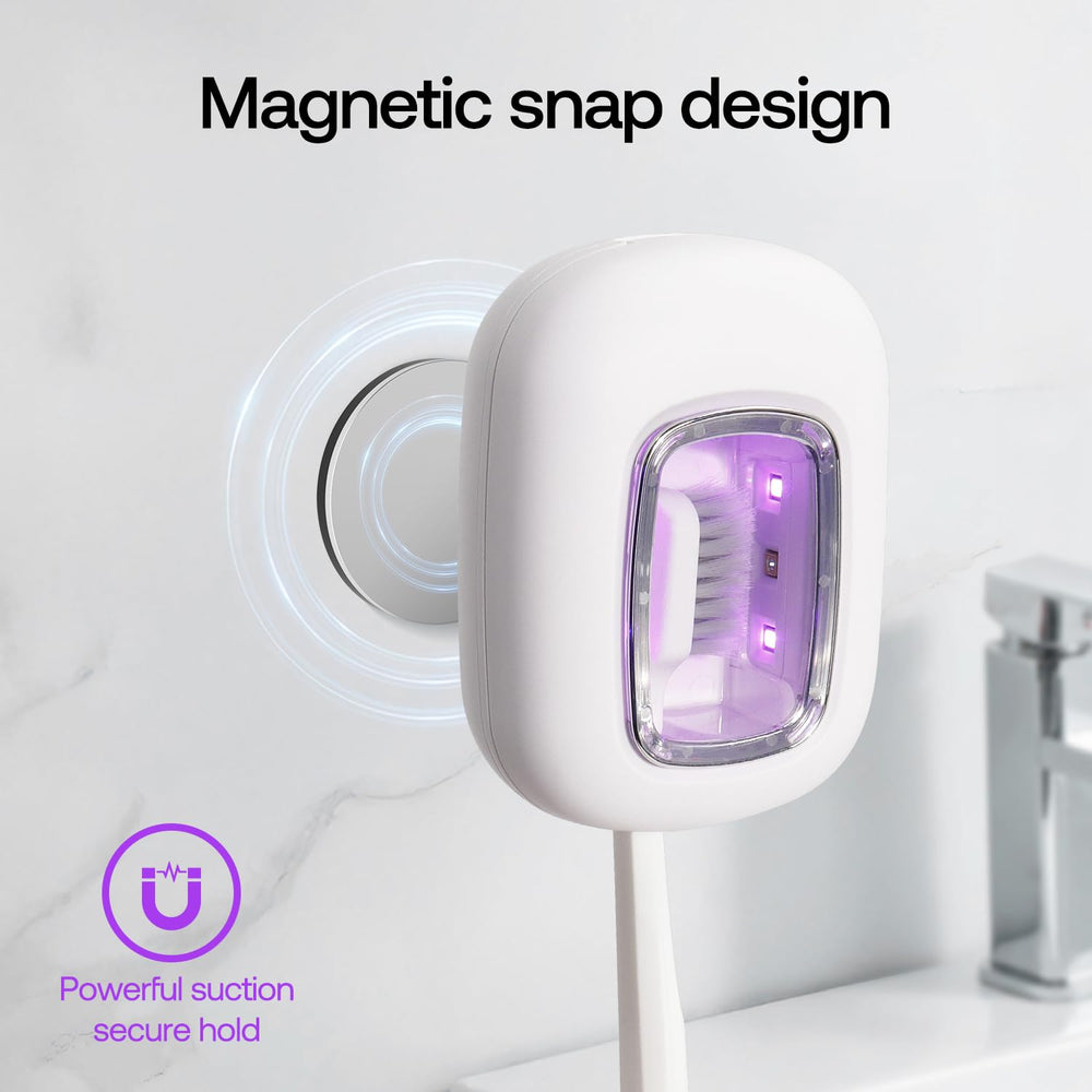 Detachable cleaning compartment with magnetic wall mount
