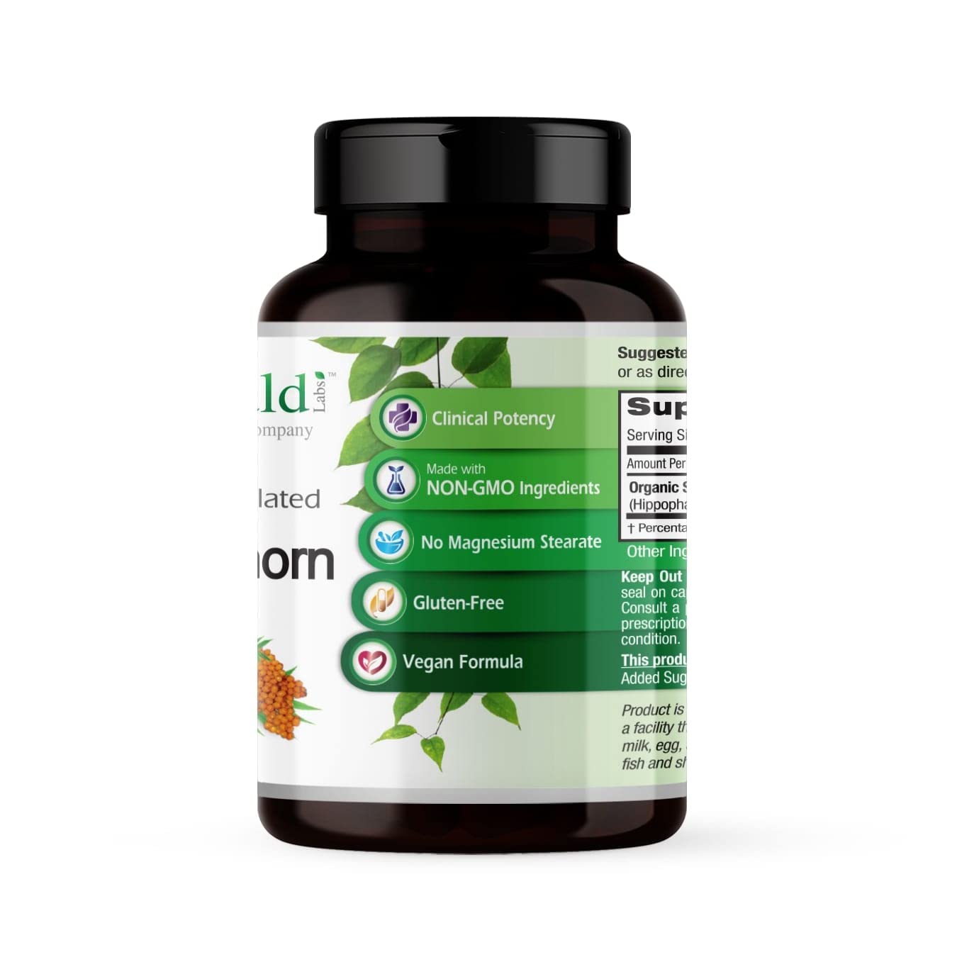 Sea Buckthorn oil illustration and essential fatty acids