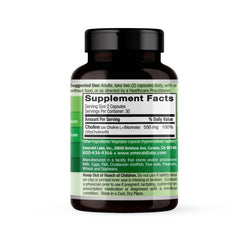 Close-up of VitaCholine 550 mg capsule