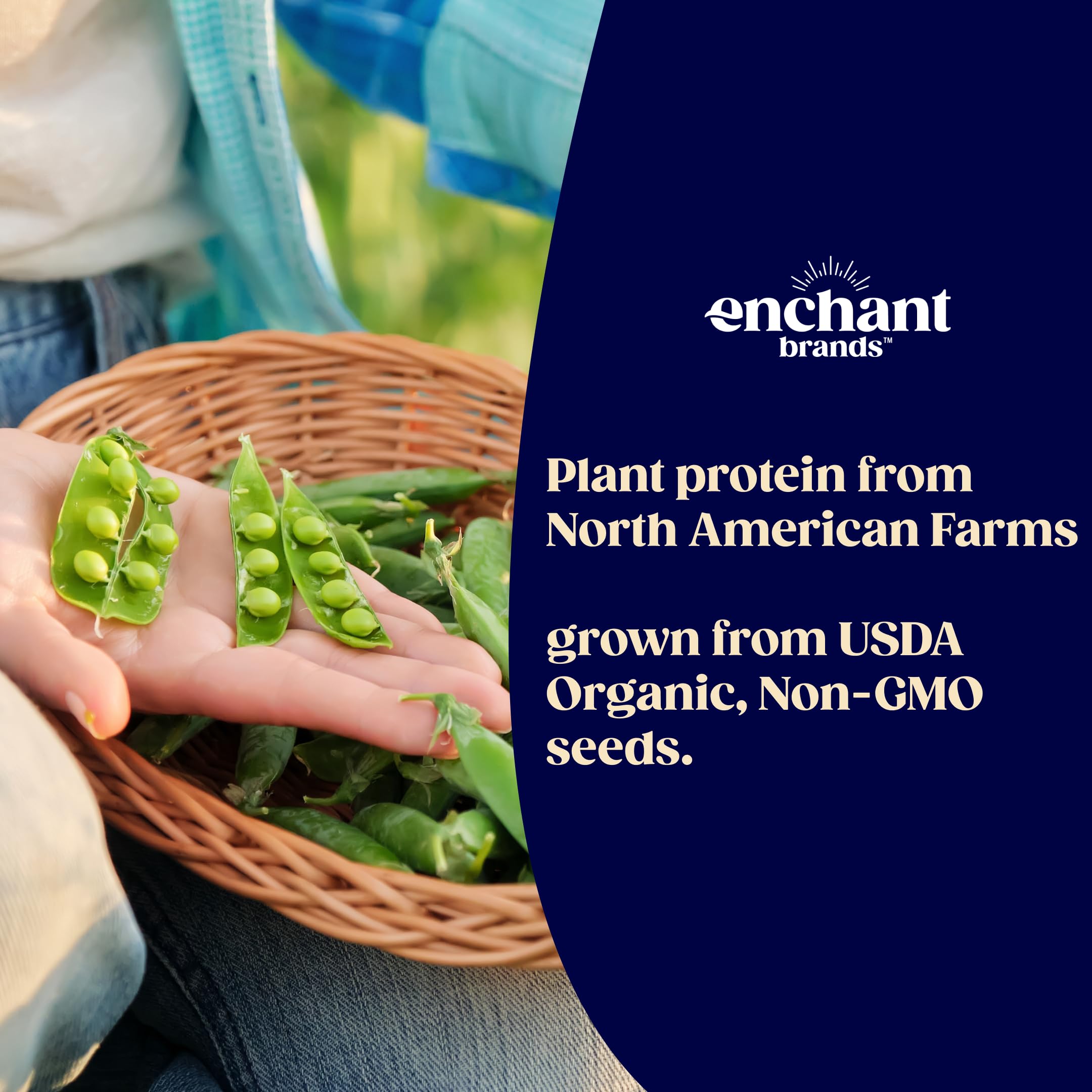 USDA Organic and Non-GMO certification marks