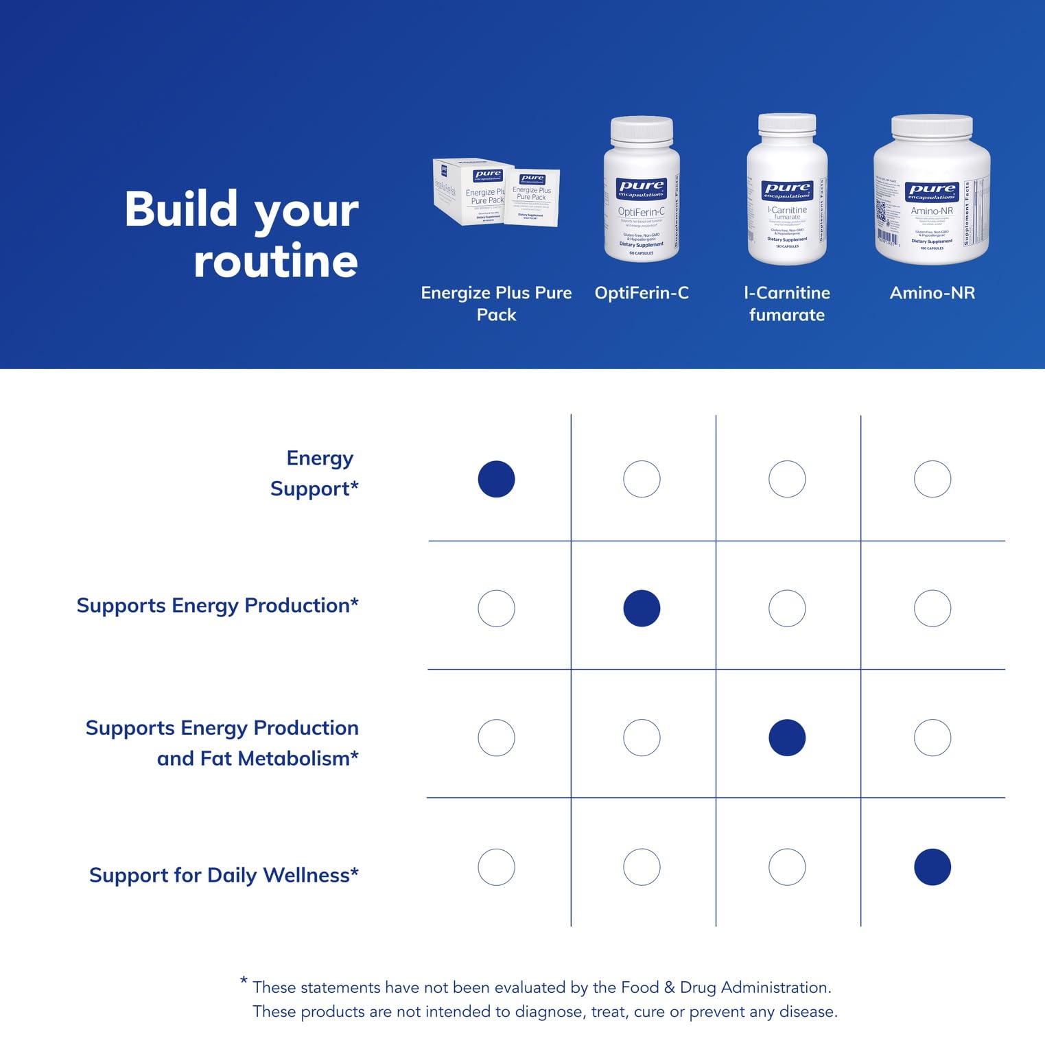 Active, energized adult representing energy support and metabolism