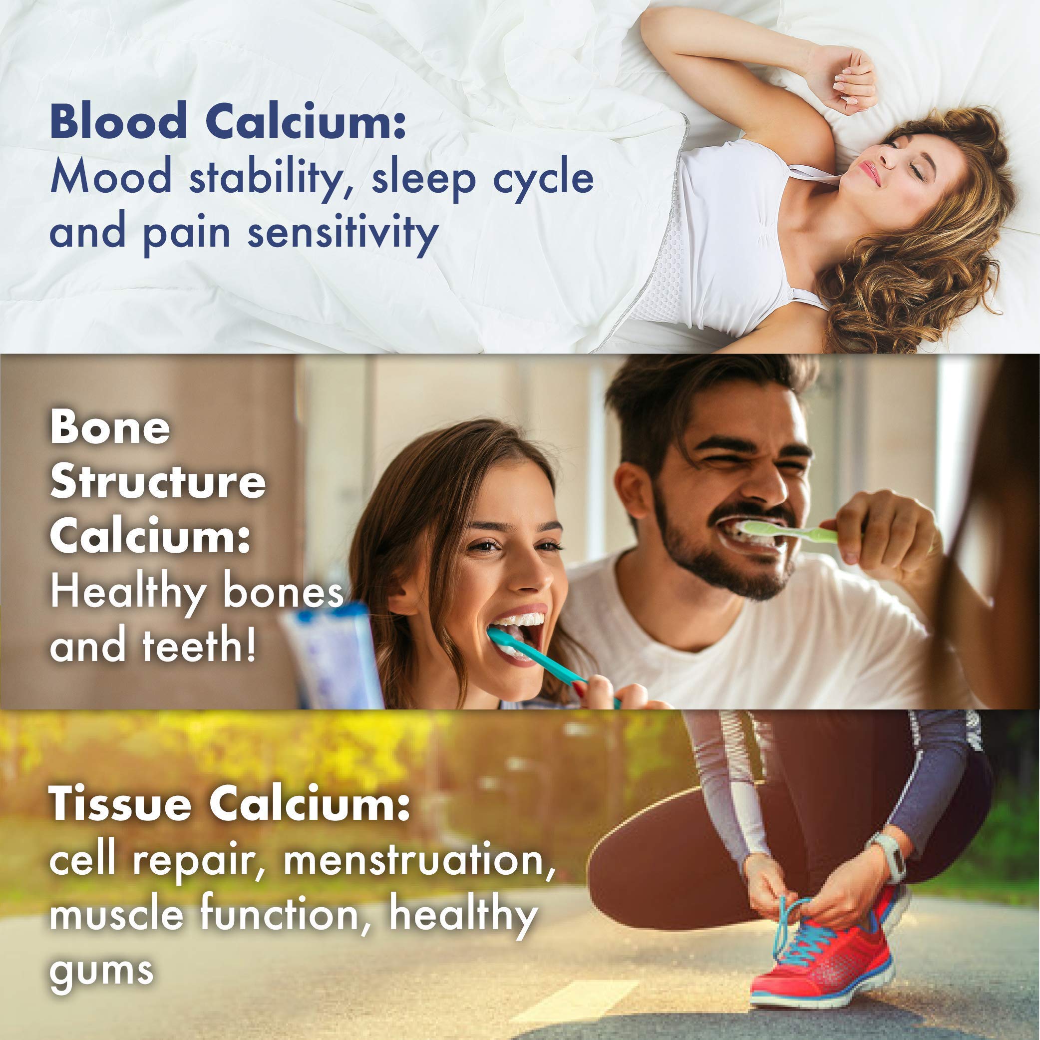 Energy balance and wellness concept for CalMag-C