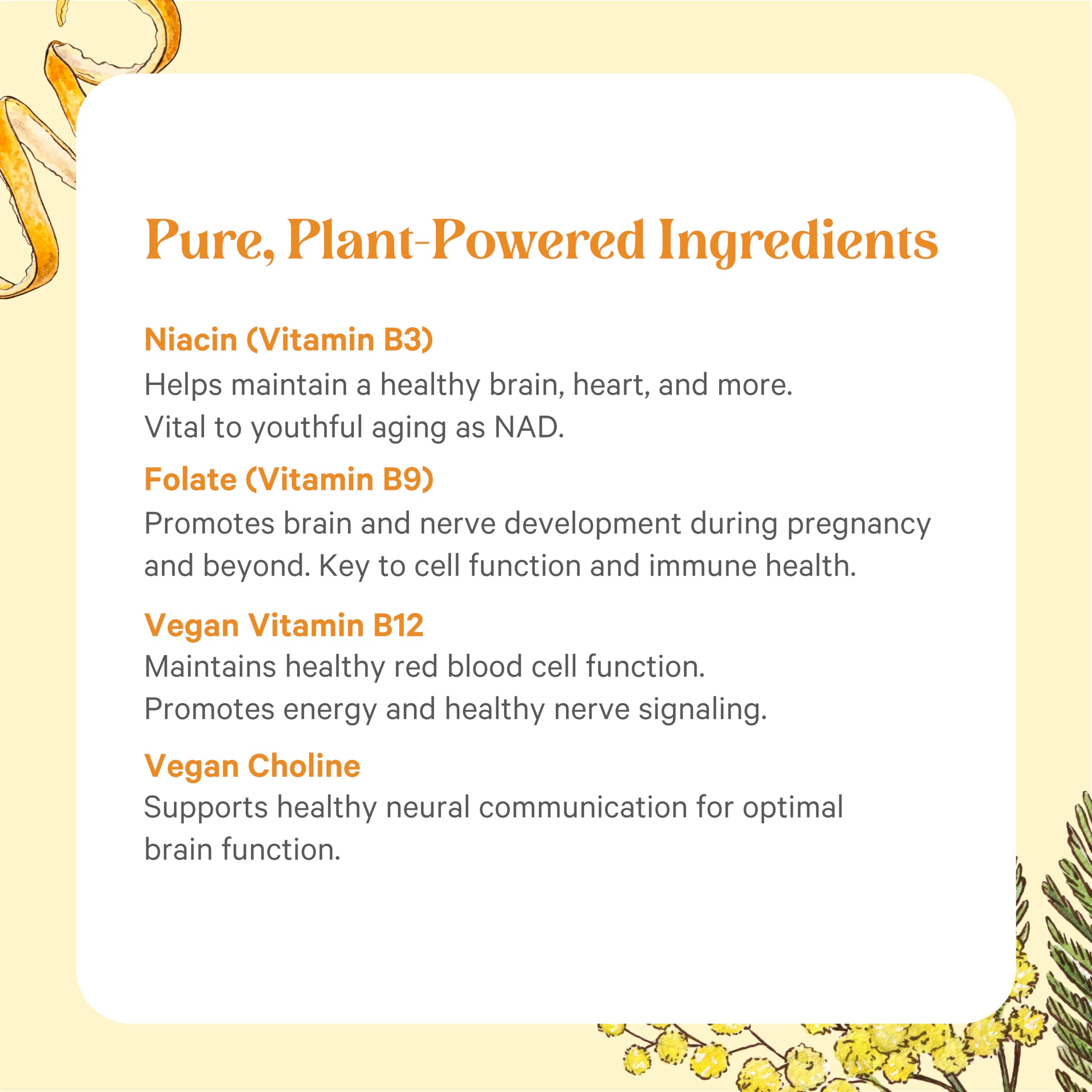 Graphic representing energy focus and mood support