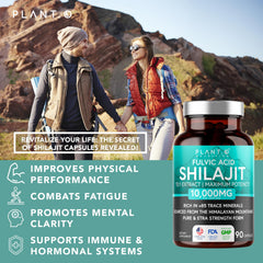 Himalayan Shilajit energy and performance boost