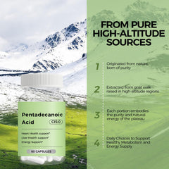 High-altitude sheep milk source concept image