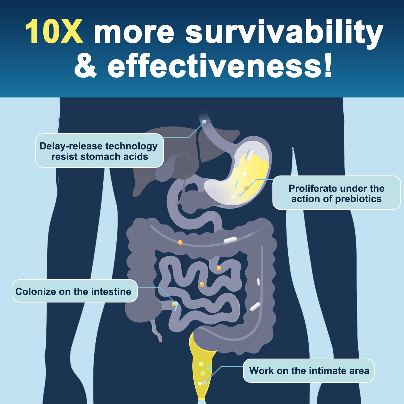 Enteric-coated, shelf-stable probiotic capsules