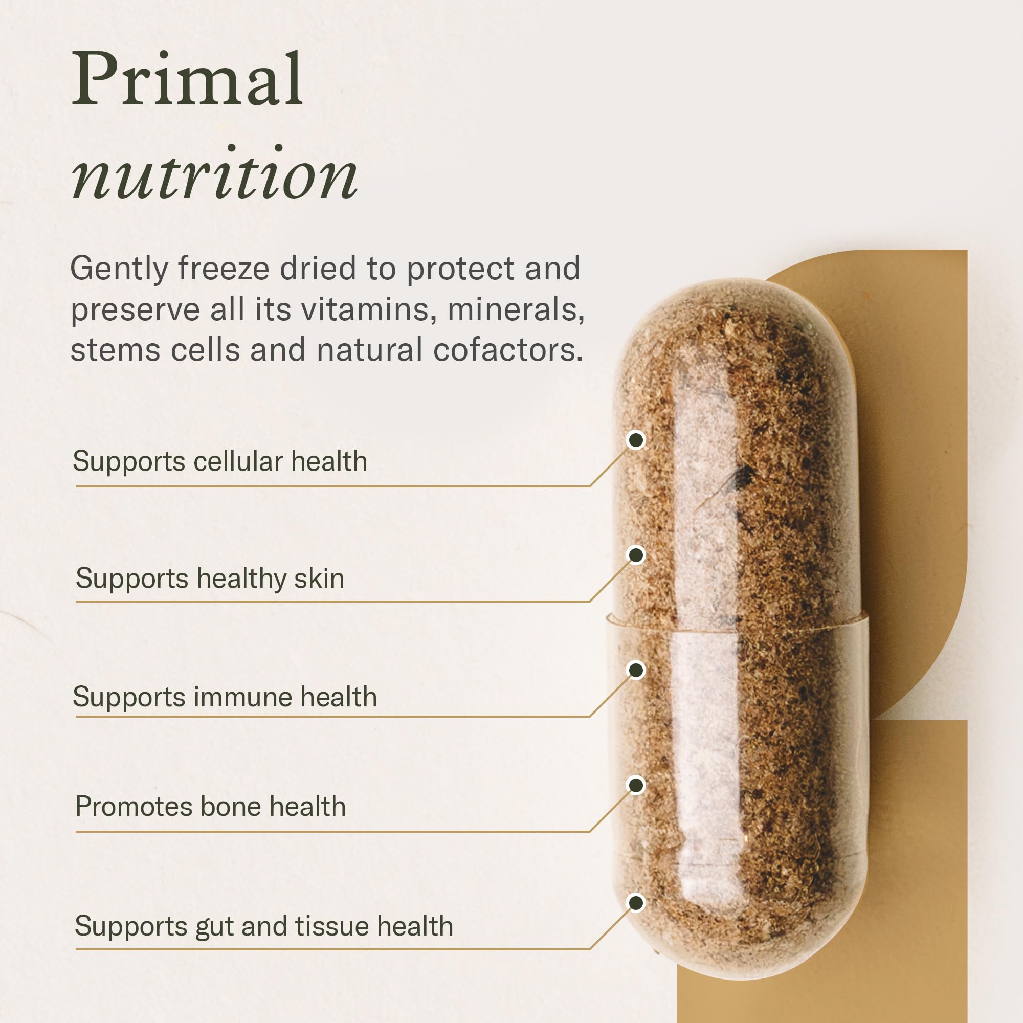 Bovine cartilage and bone marrow capsules