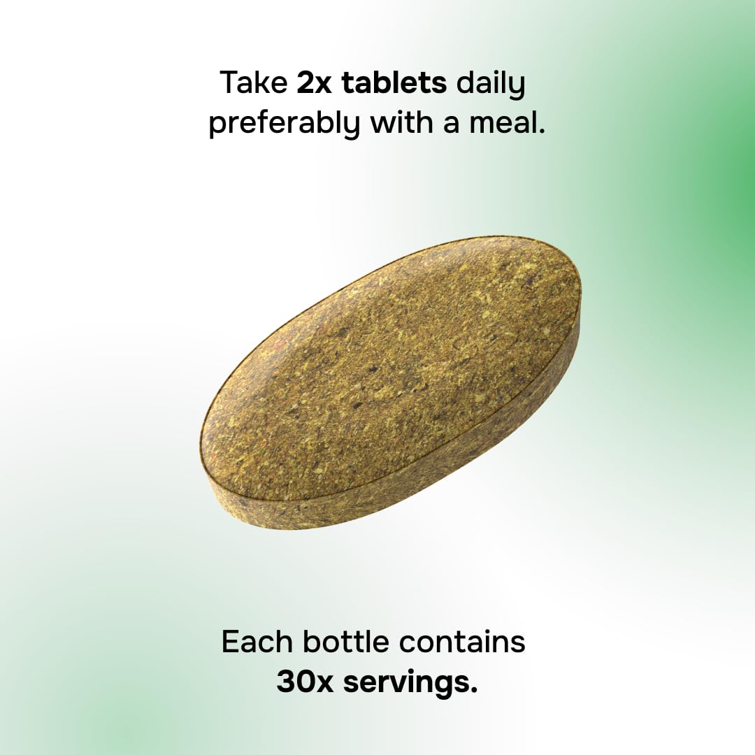 Nutrition and vitamins icons highlighting energy and digestion support