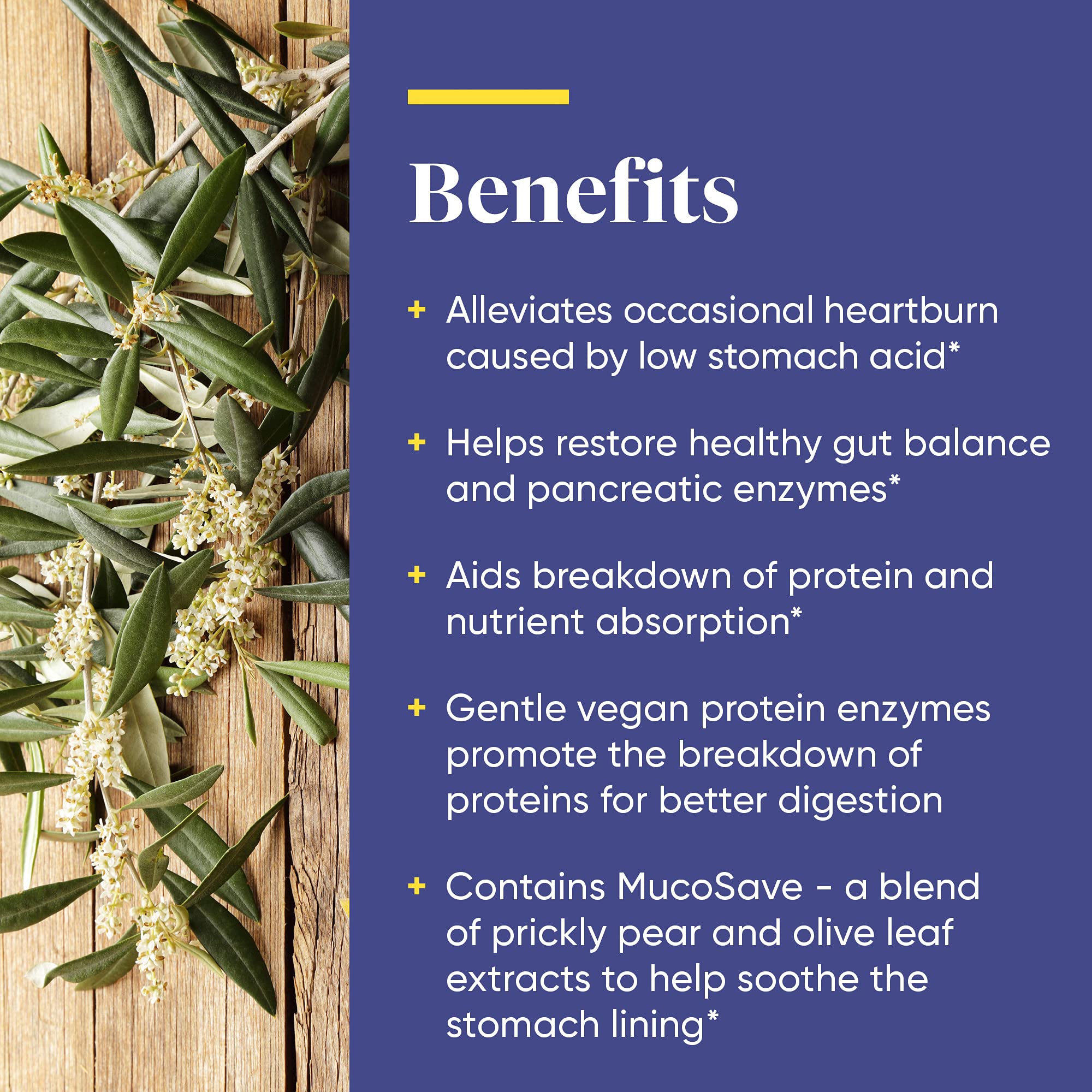 Olive leaf extract for stomach lining protection