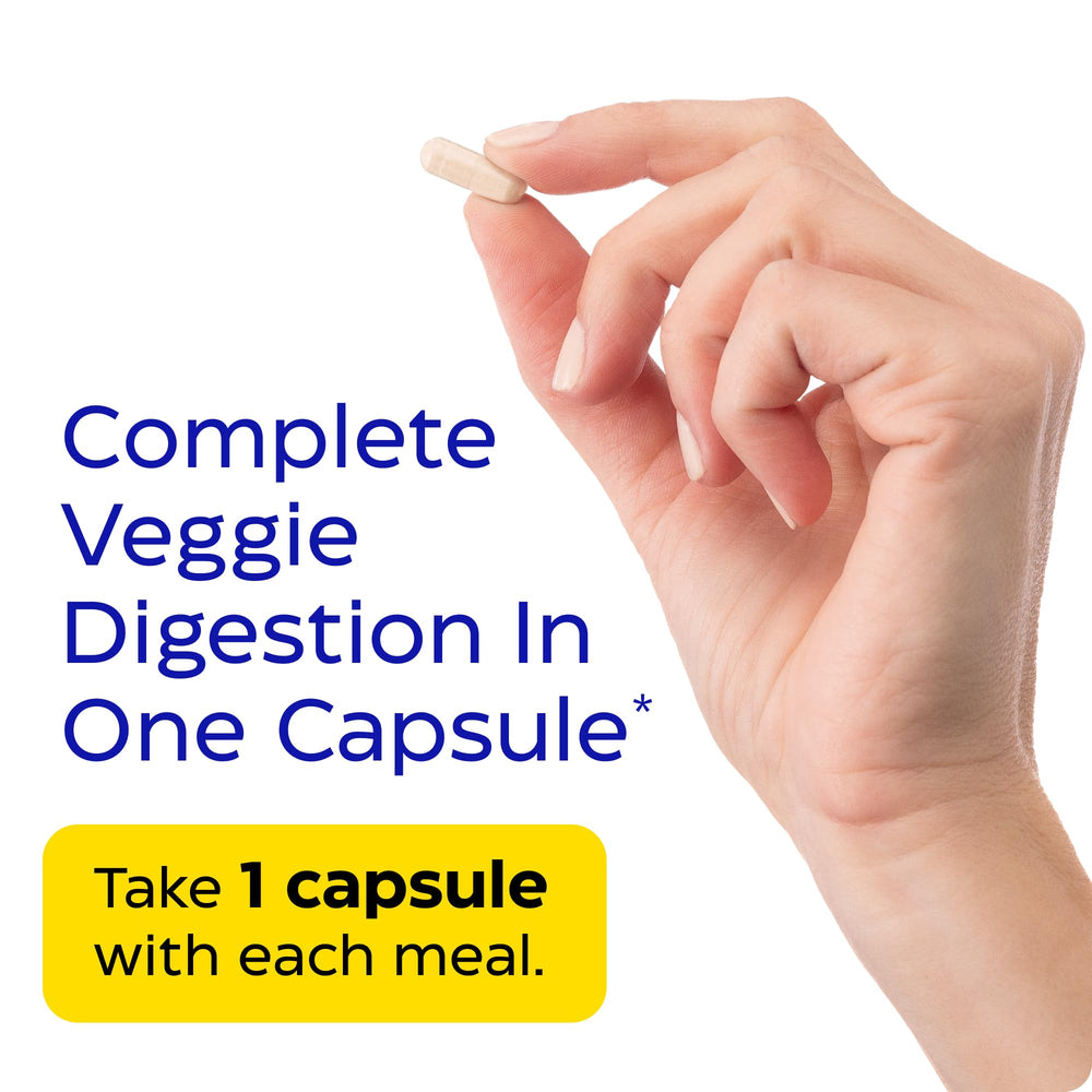 Illustration of enzymes alpha-galactosidase, cellulase and xylanase