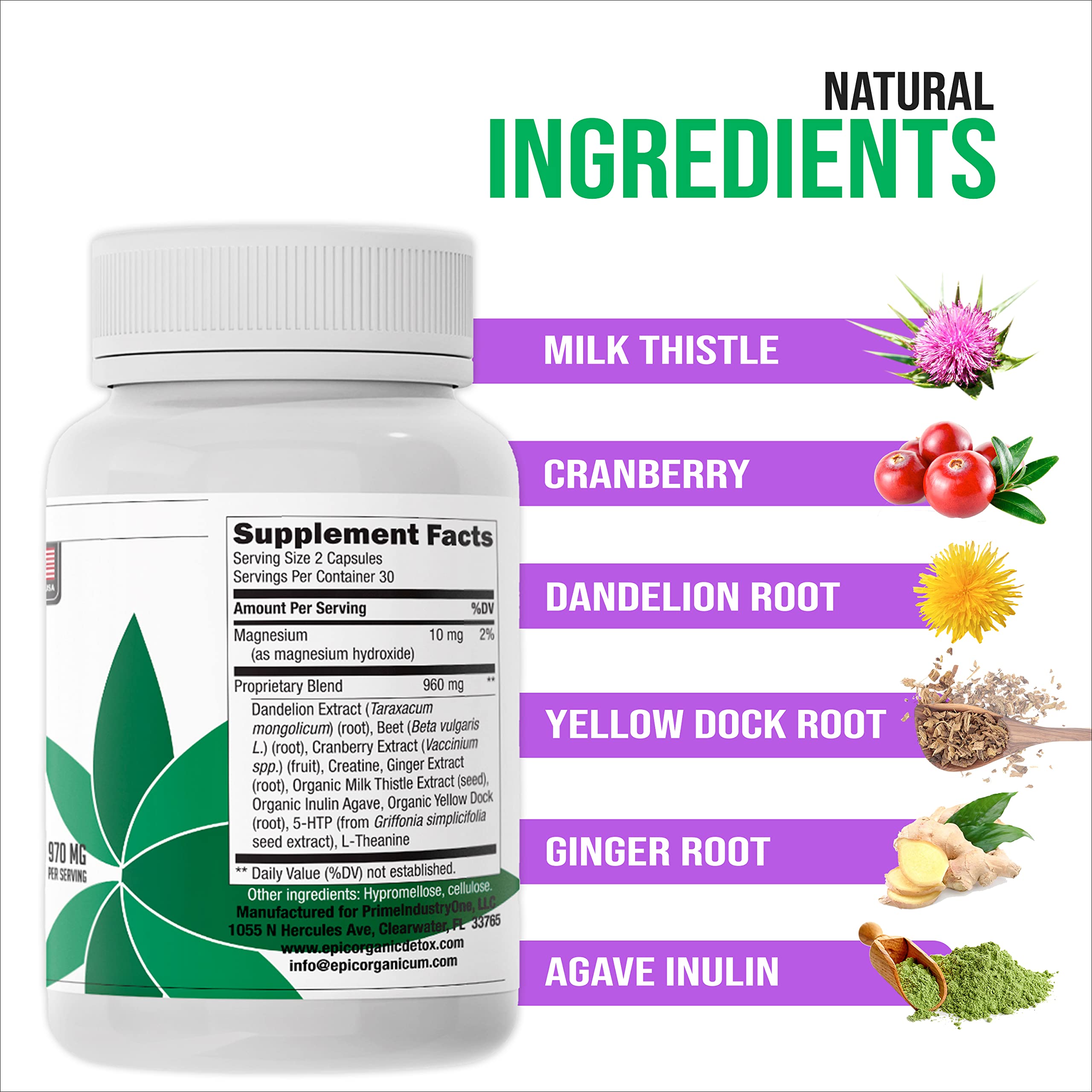 Yellow dock root used in Epic Organicum detox formula