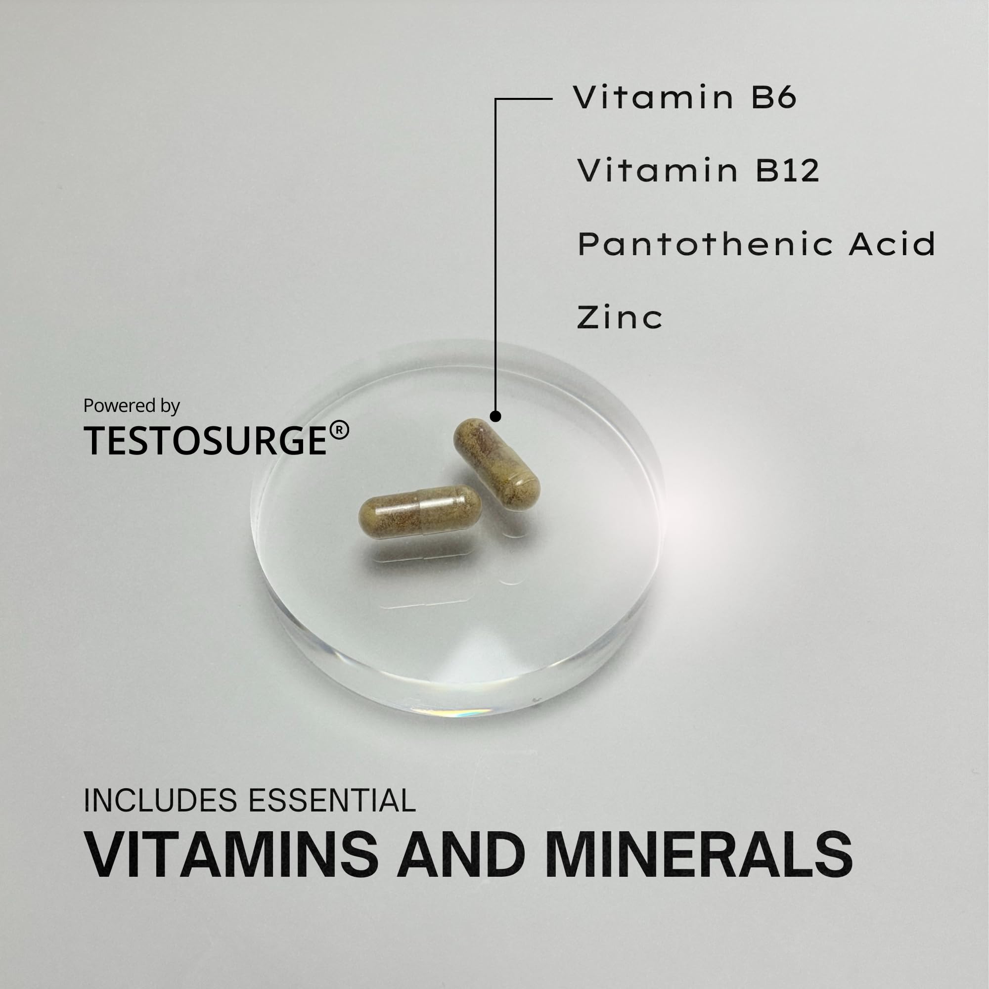 EPIC-T capsules in hand illustrate vegan, gluten-free daily wellness