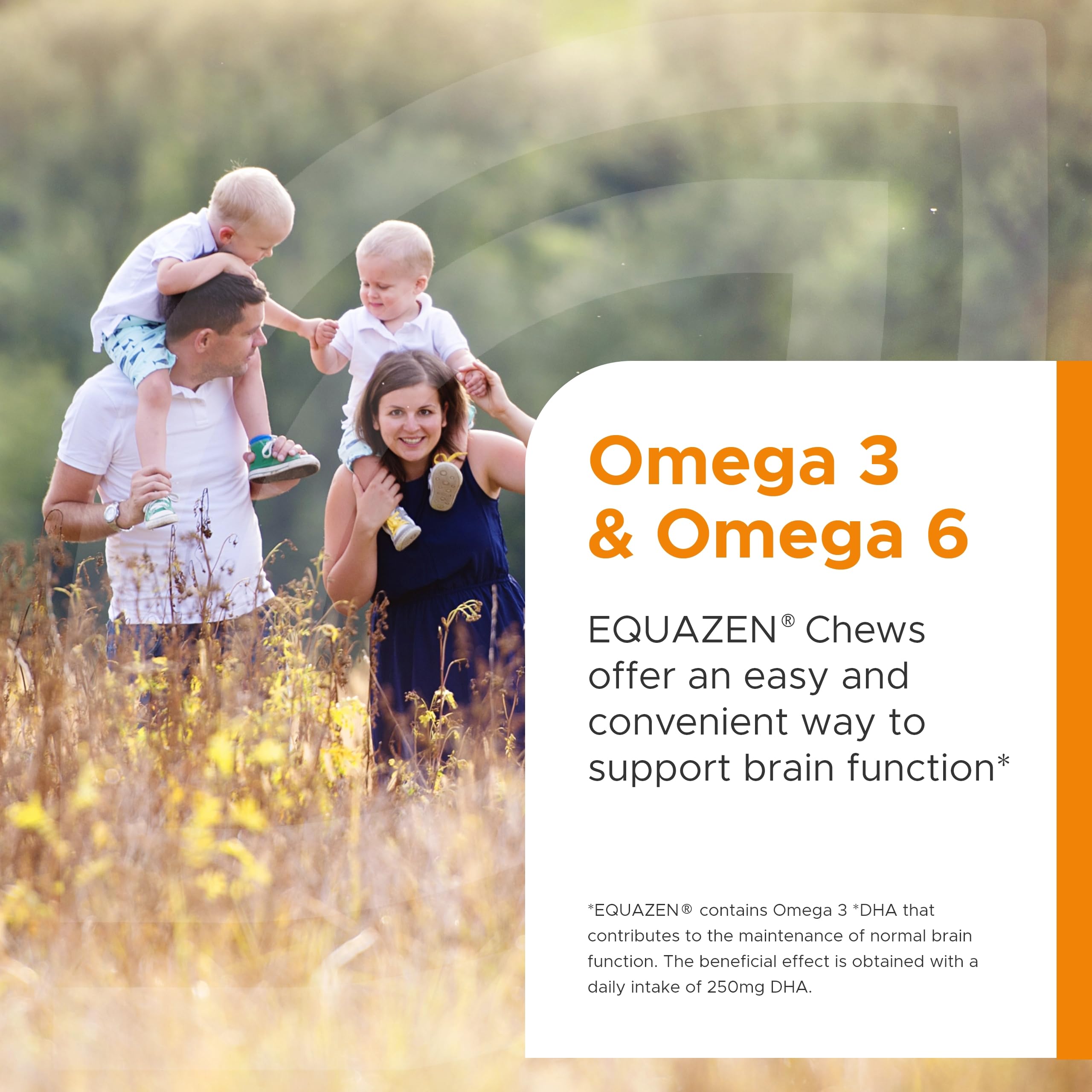 Illustration of natural Omega-3 and Omega-6 oils