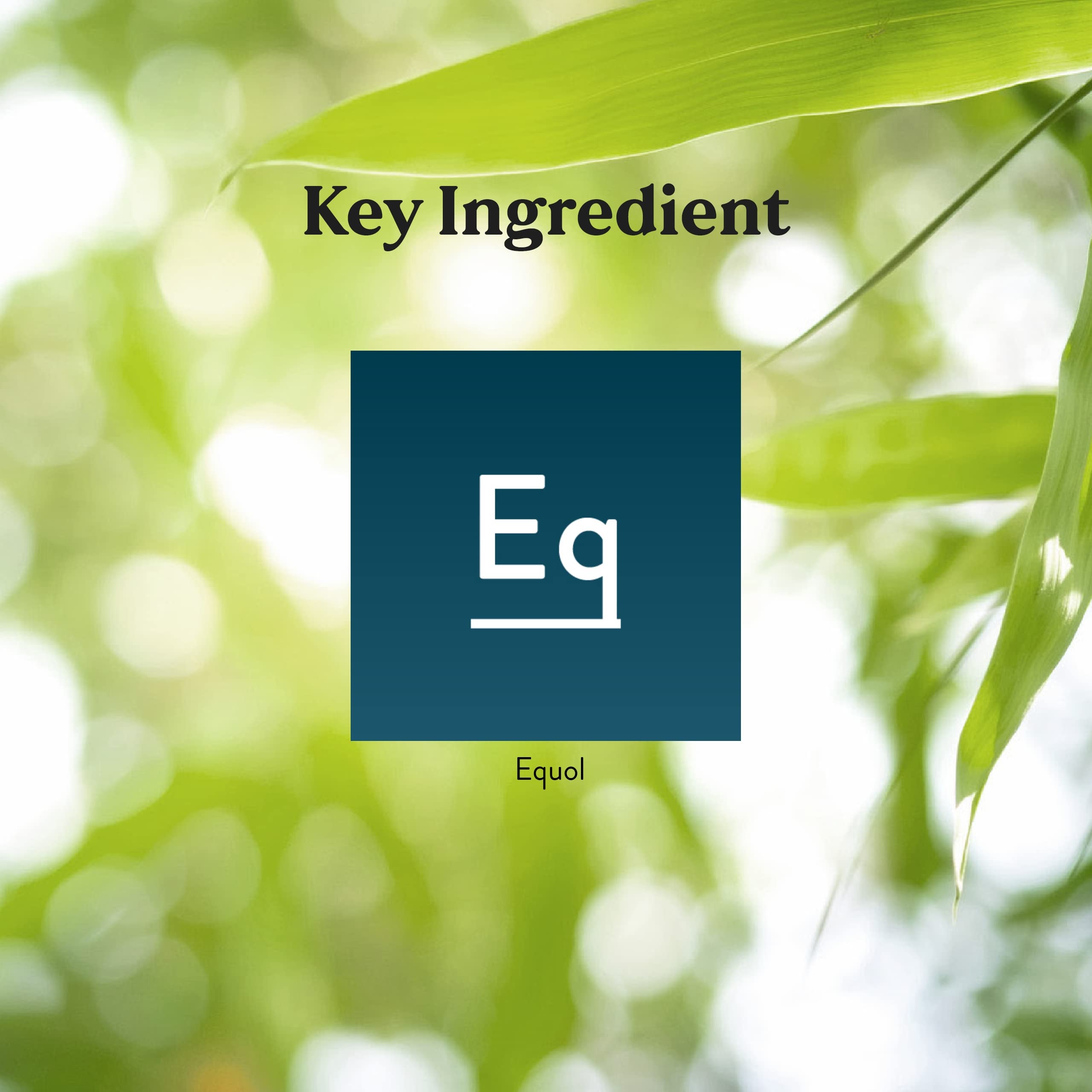 Equolibrium with Saw Palmetto compatibility