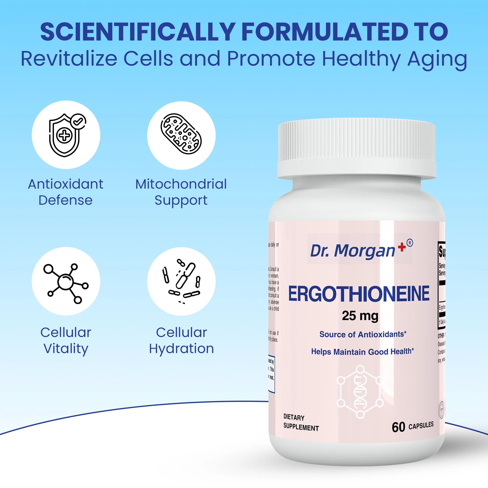 Graphic showing ergothioneine supporting mitochondrial health and energy production