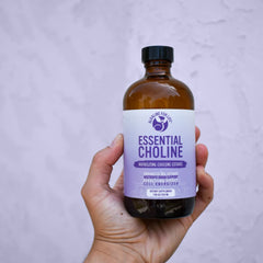 Choline citrate supports magnesium absorption