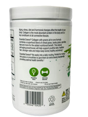 10.6 oz container of Essential Greens Collagen dietary supplement
