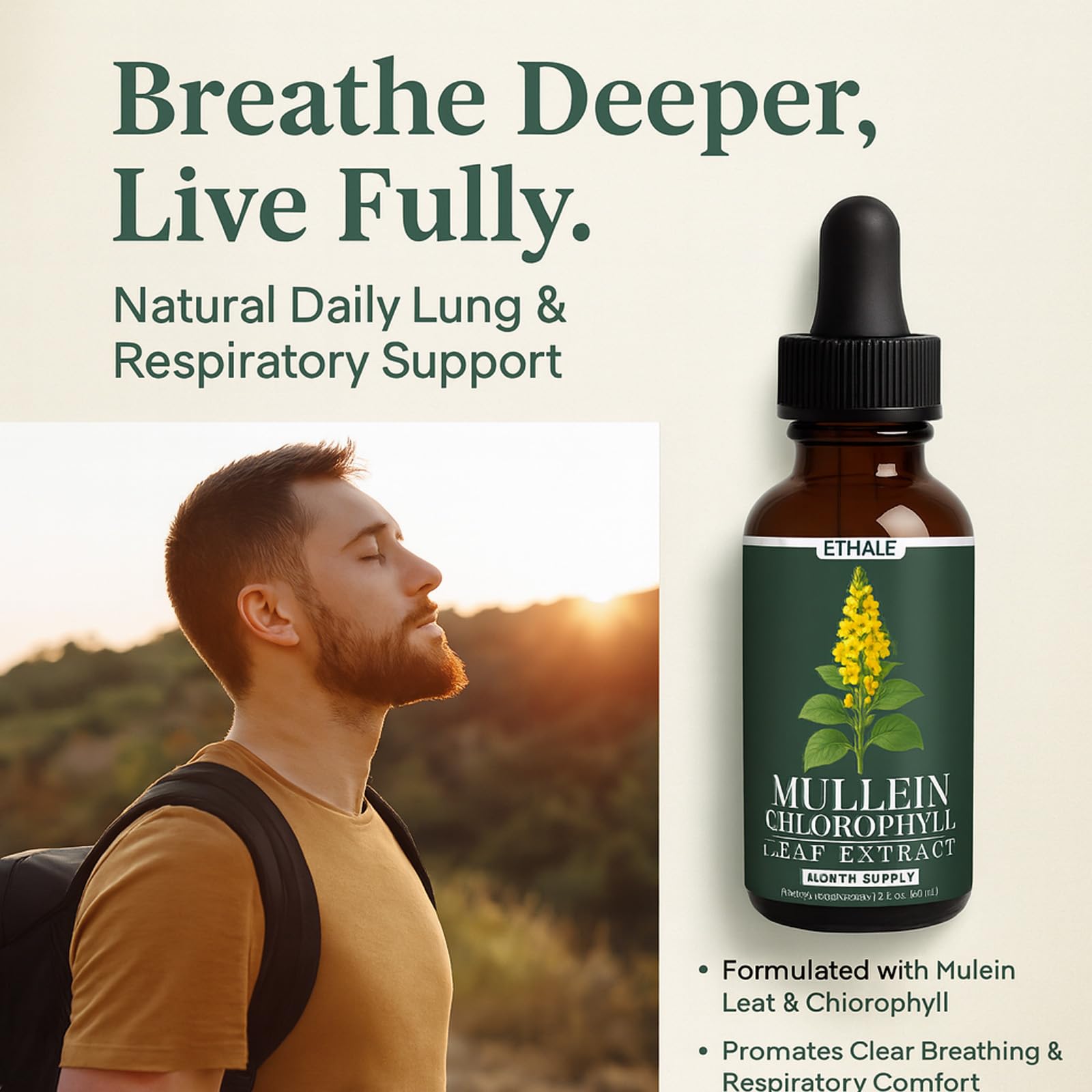 Ingredients: mullein leaf and chlorophyll