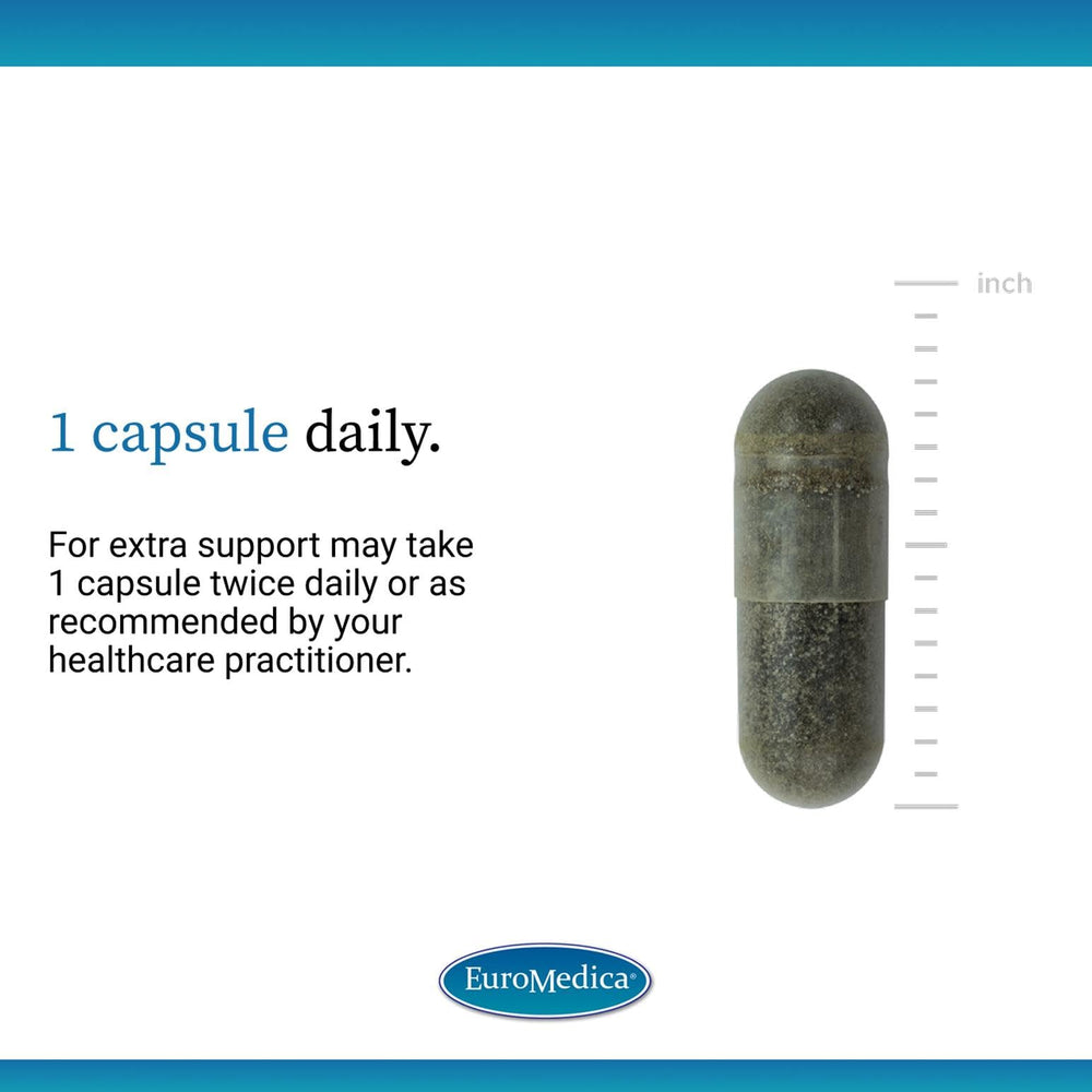 Vegan capsules of EuroMedica Andrographis EP80