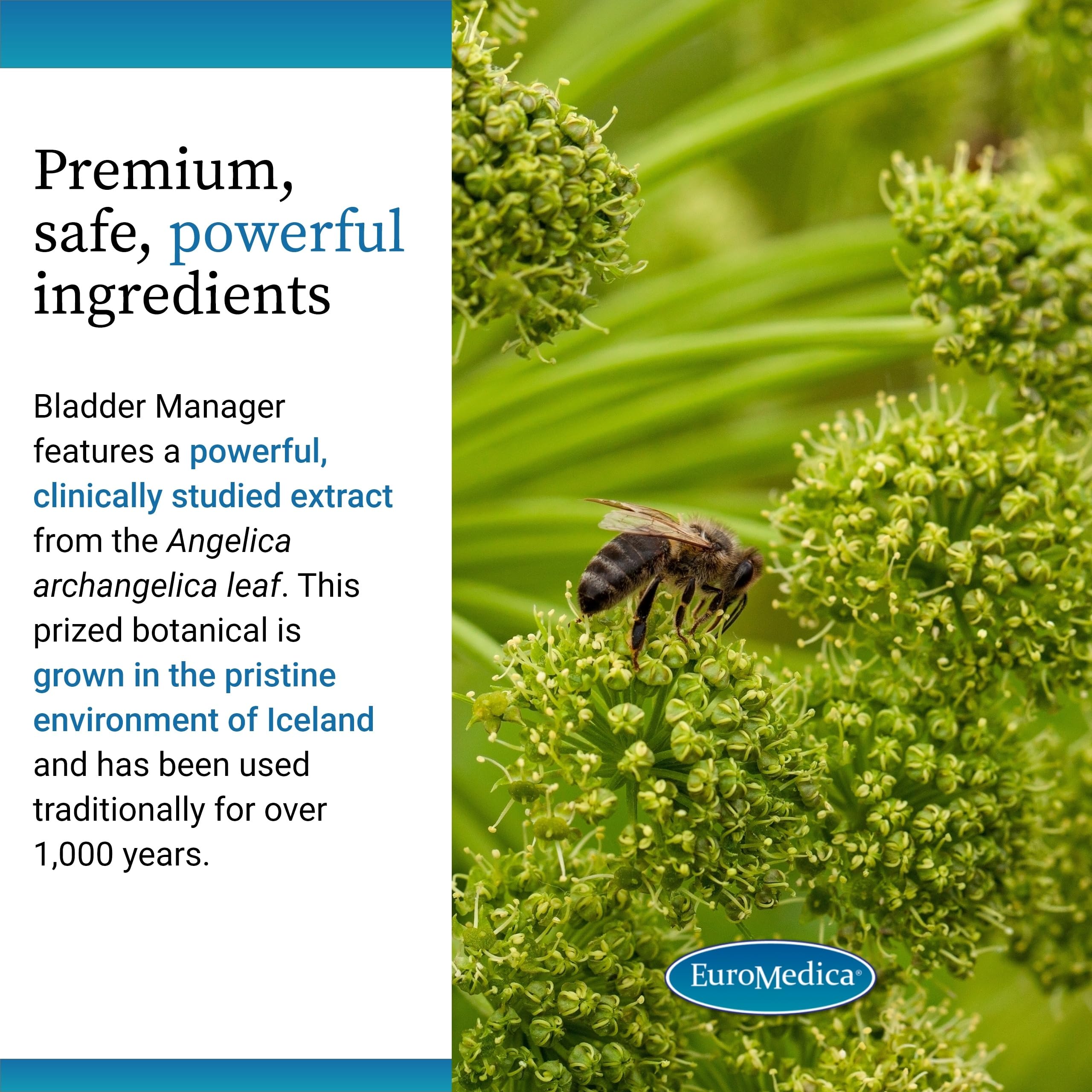 EuroMedica Bladder Manager product packaging