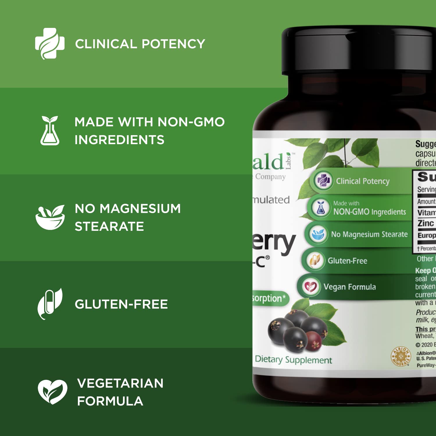 European elderberry extract 500 mg per serving image