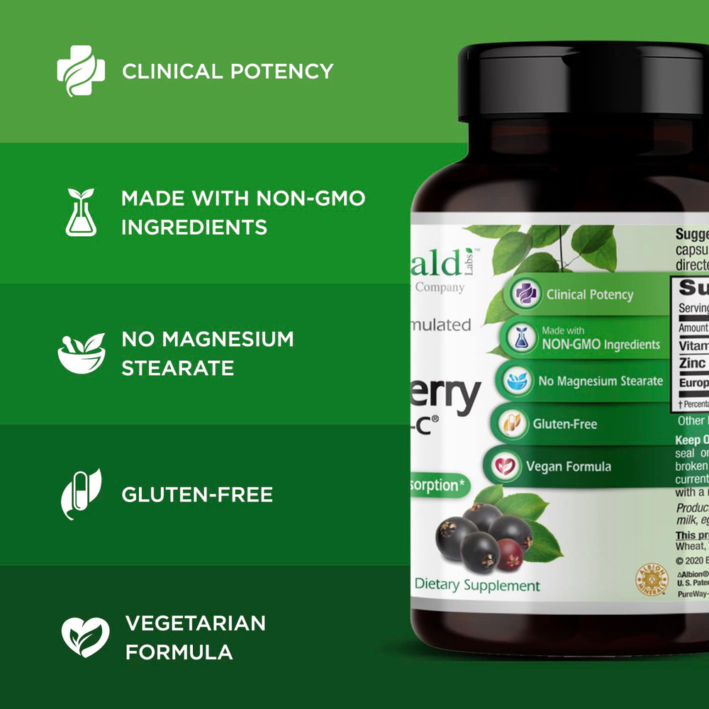 European elderberry extract 500 mg per serving image