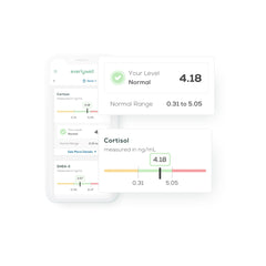 Everlywell online results dashboard with secure access to insights.
