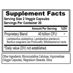 Probiotic digestive and immune health support infographic