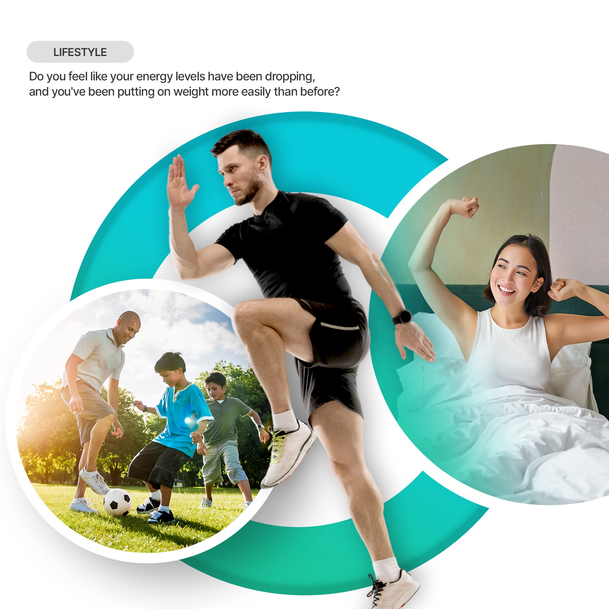 Graphic illustrating GMP-certified processing and lyophilization for Thyroid product