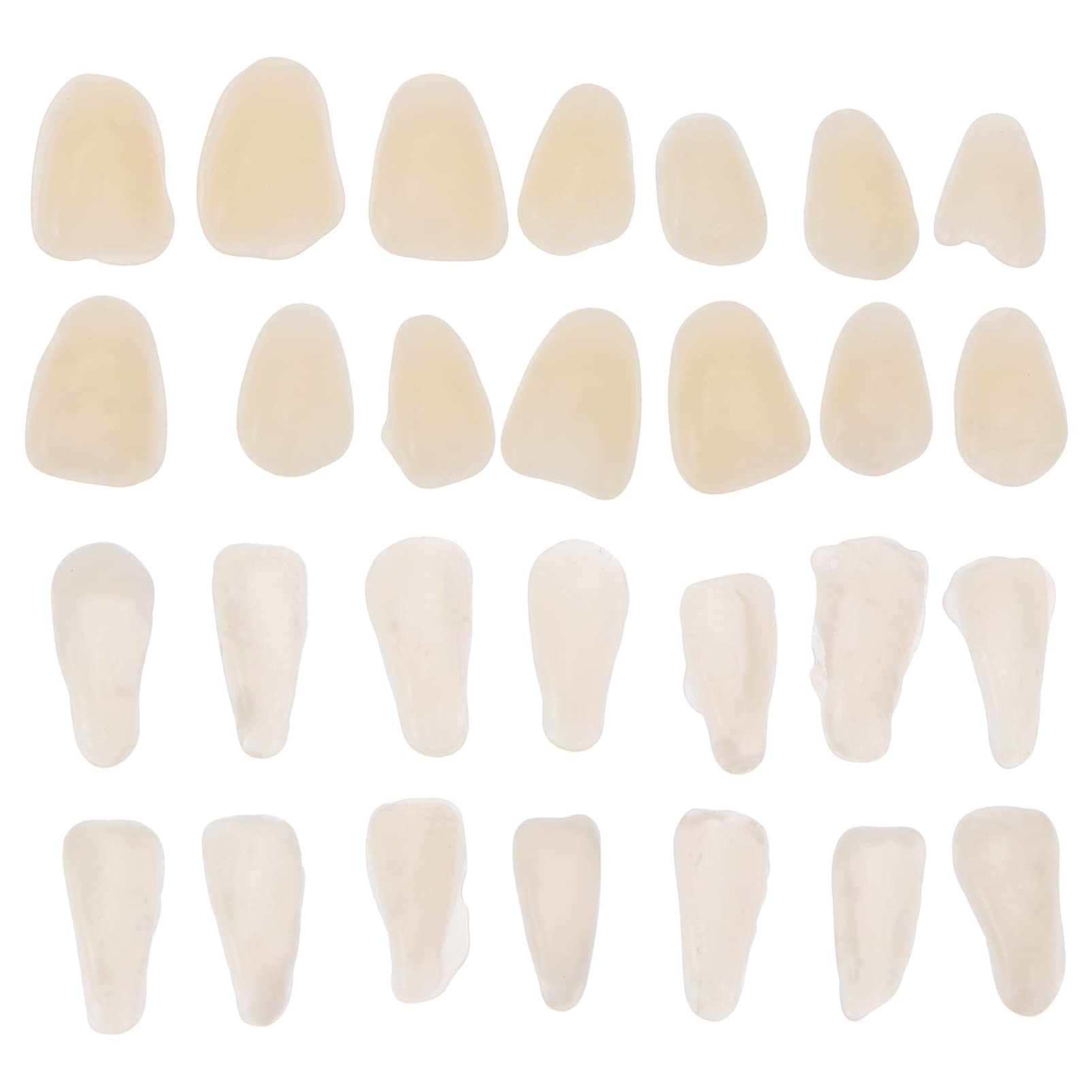 EXCEART 100-Piece Artificial Resin Teeth Veneers product image 1