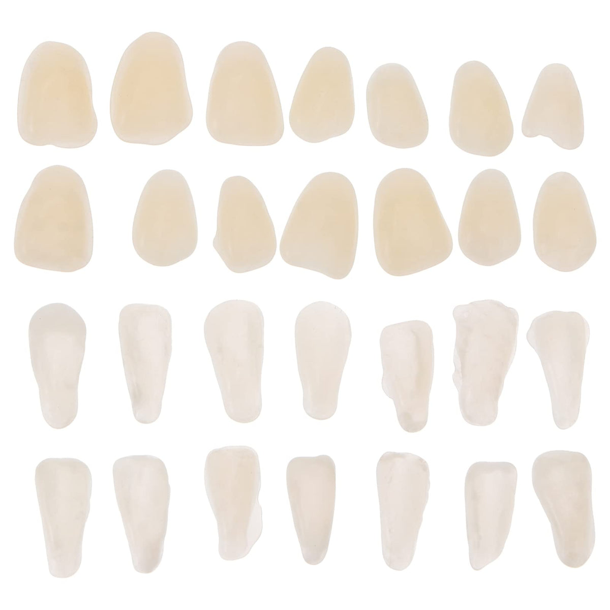 EXCEART 100-Piece Artificial Resin Teeth Veneers product image 1