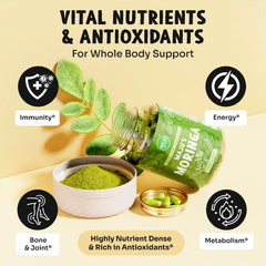 Extra-fine moringa leaves dried for premium quality