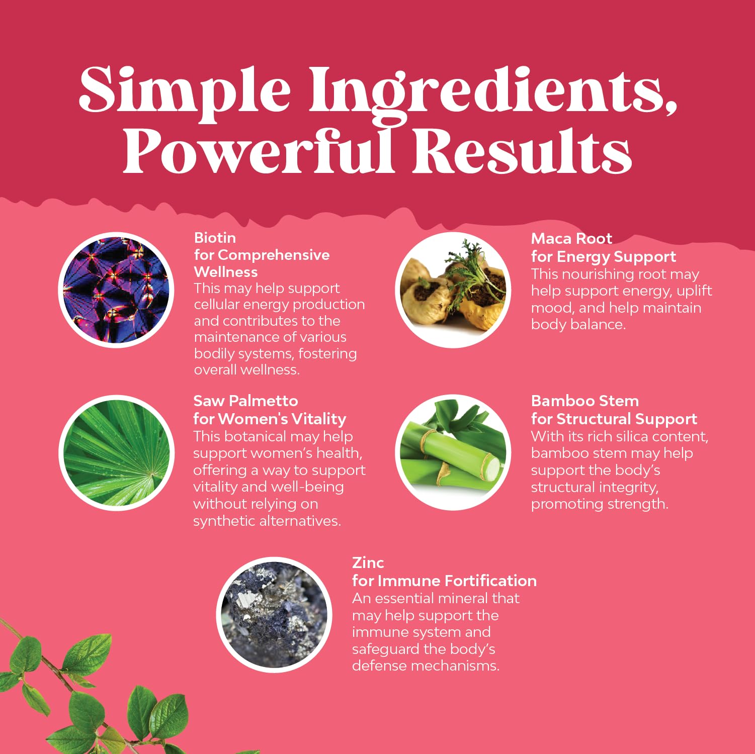 Laboratory tested saw palmetto herbal supplement label