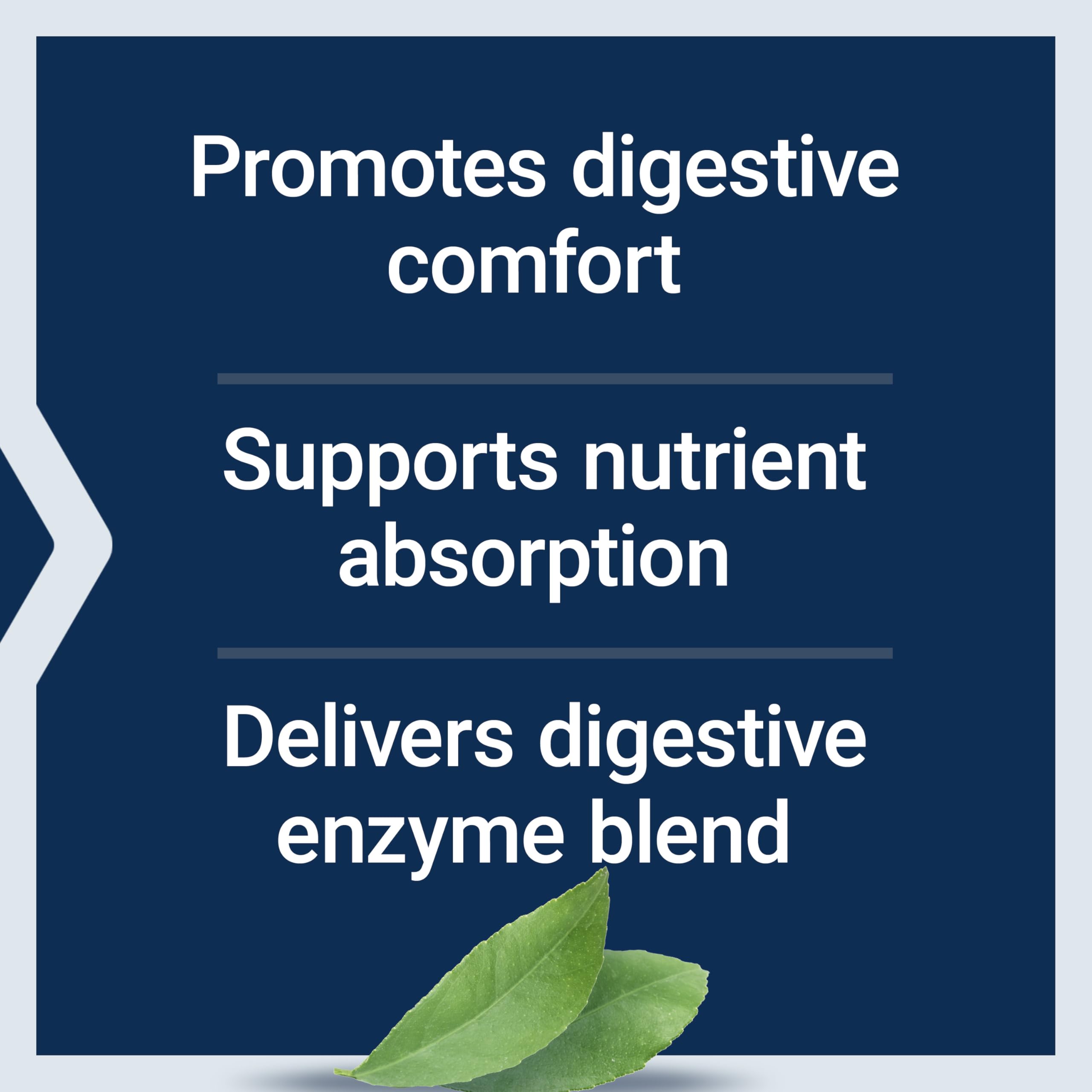 Illustration of 12 clinically studied digestive enzymes.