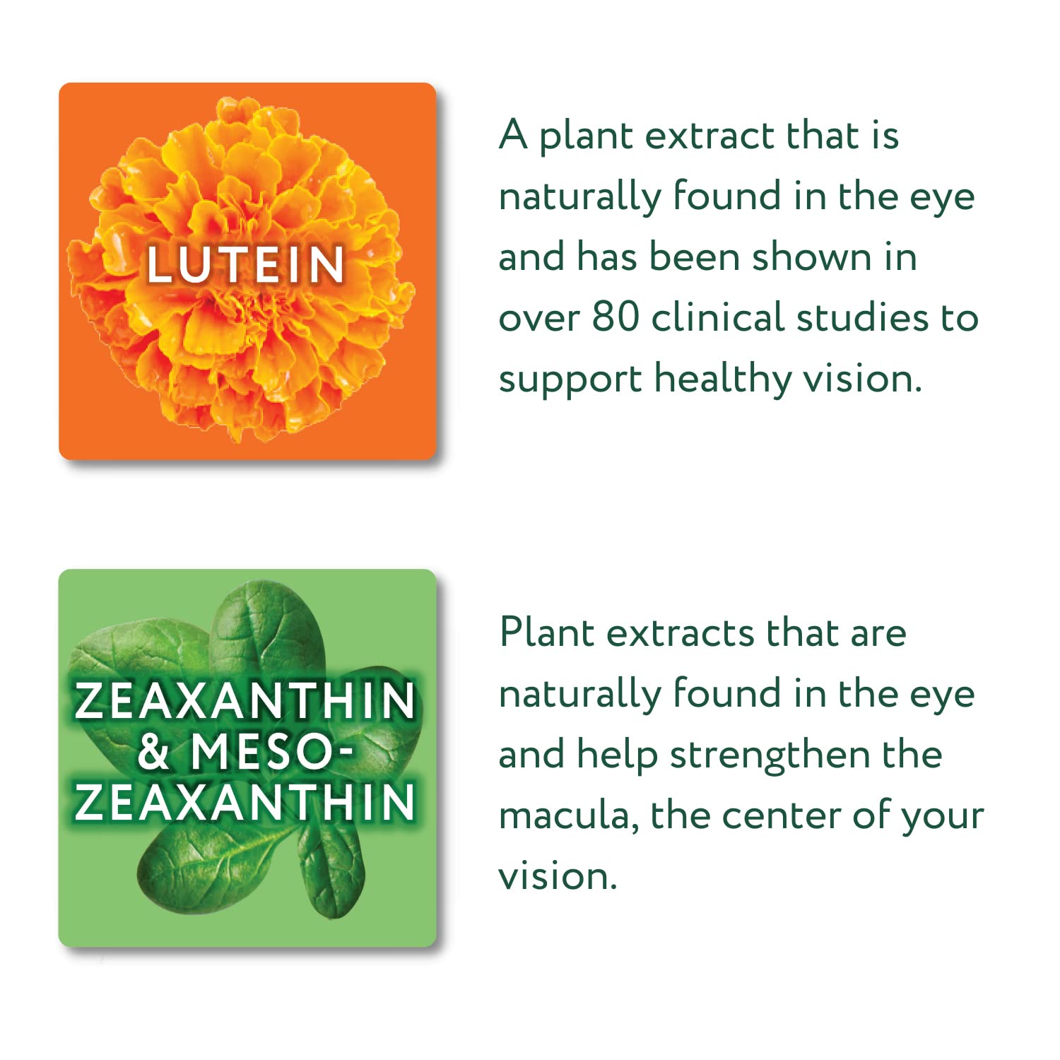 Nurtureyes bottle with vegan and Non-GMO icons on label