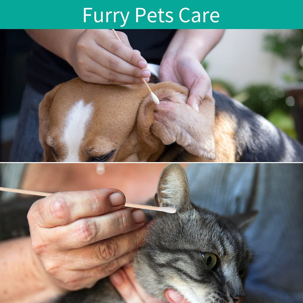 close-up of 6 inch cotton swabs